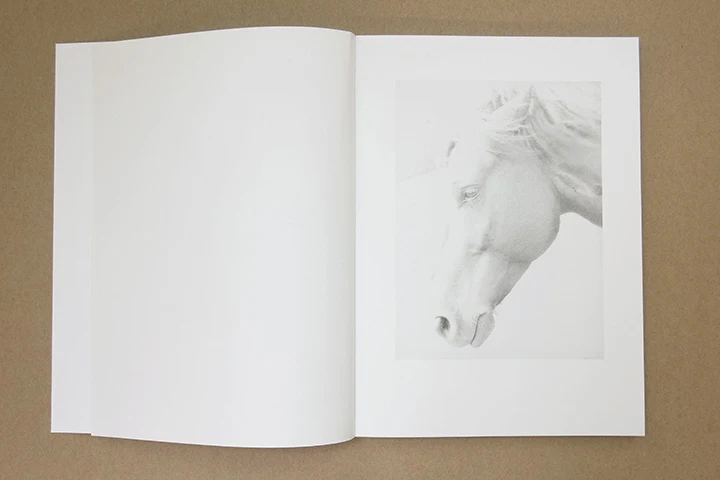 Jochen Lempert - Paare / Pairs - Image 5