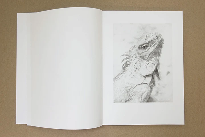 Jochen Lempert - Paare / Pairs - Image 6