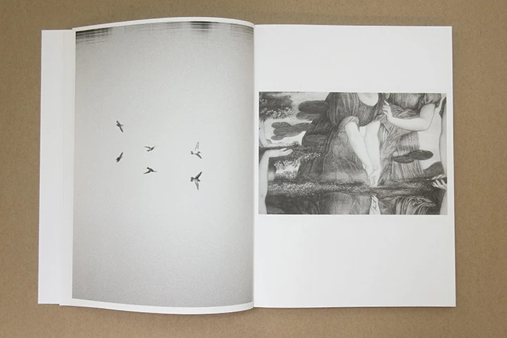 Jochen Lempert - Paare / Pairs - Image 8