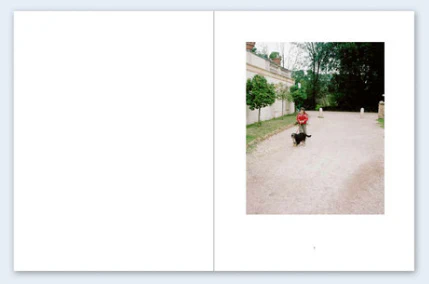 John Divola - Seven Dogs - Image 2