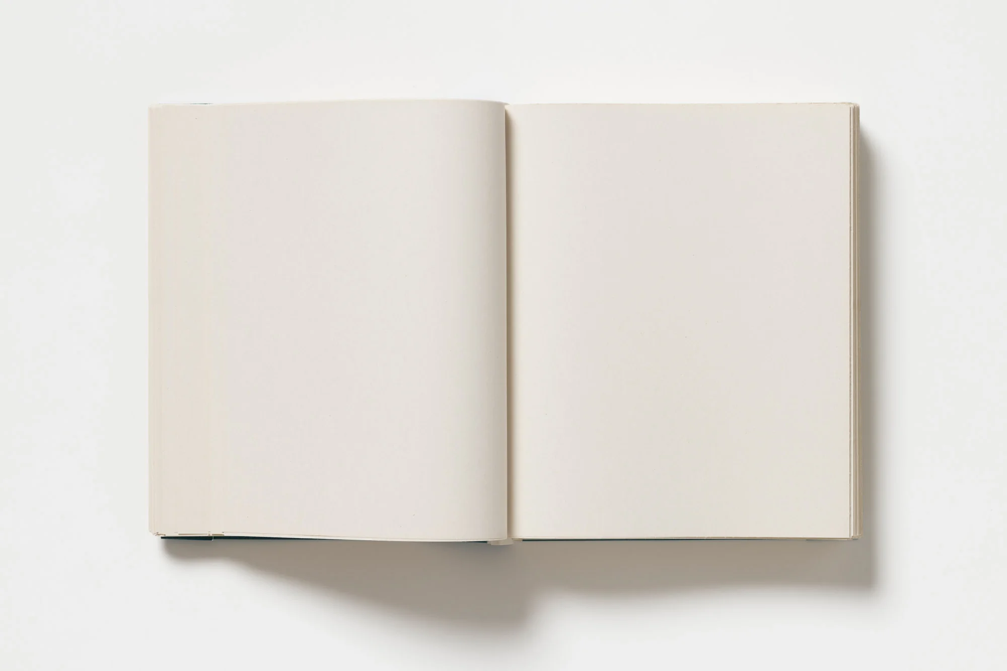 John Morgan - Usylessly - Image 10