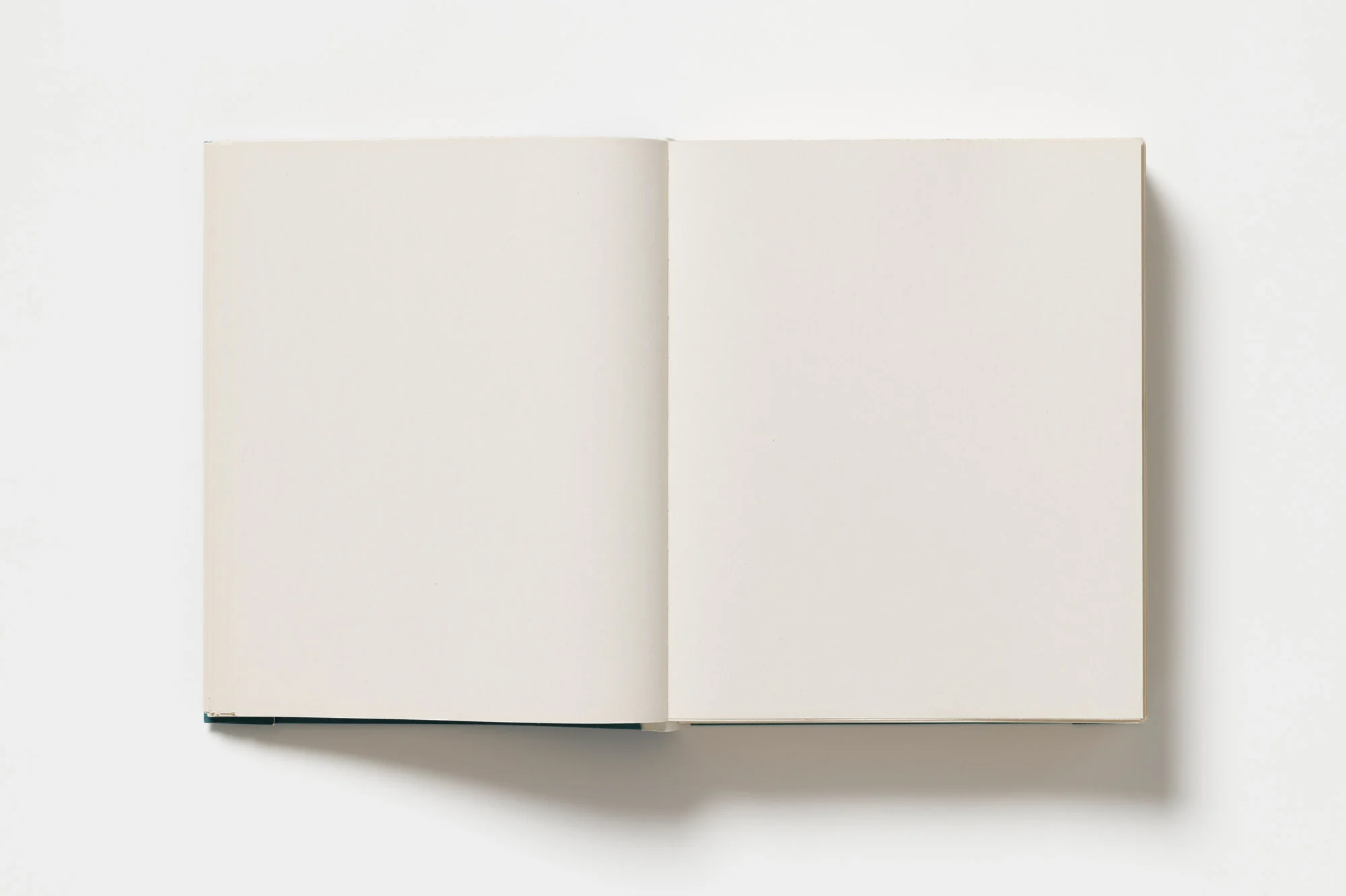John Morgan - Usylessly - Image 7