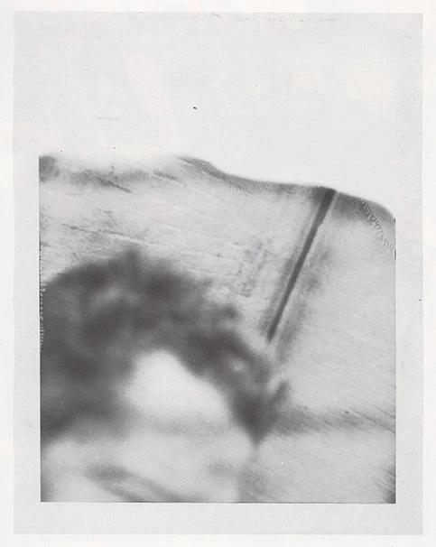 Julian Schnabel - Tati Paintings - Image 4