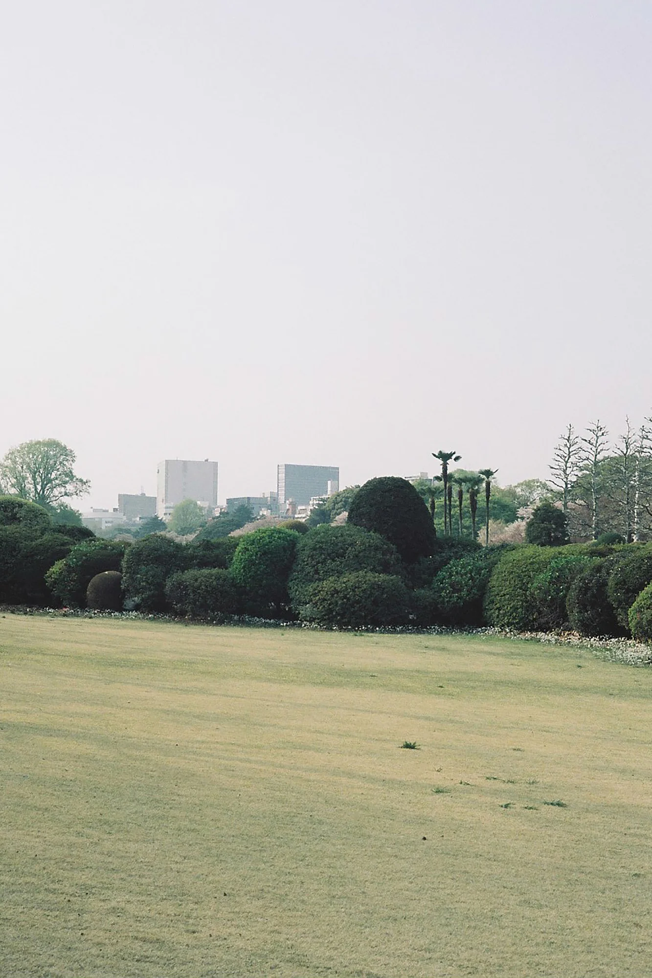 Jun Iwasaki - Over Joy, 2018