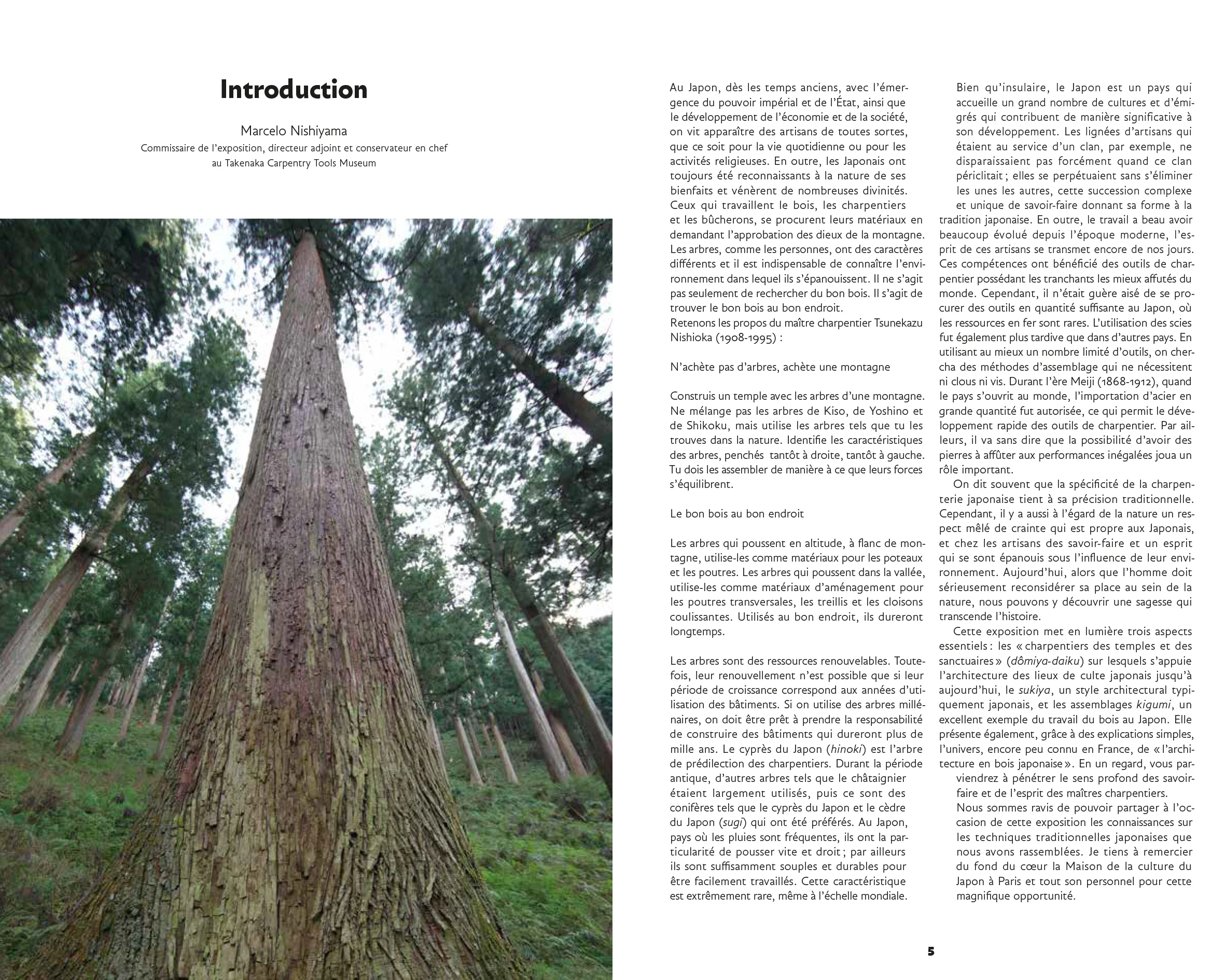 L'art des charpentiers japonais - Au cœur de l'architecture en bois traditionnelle - Image 2