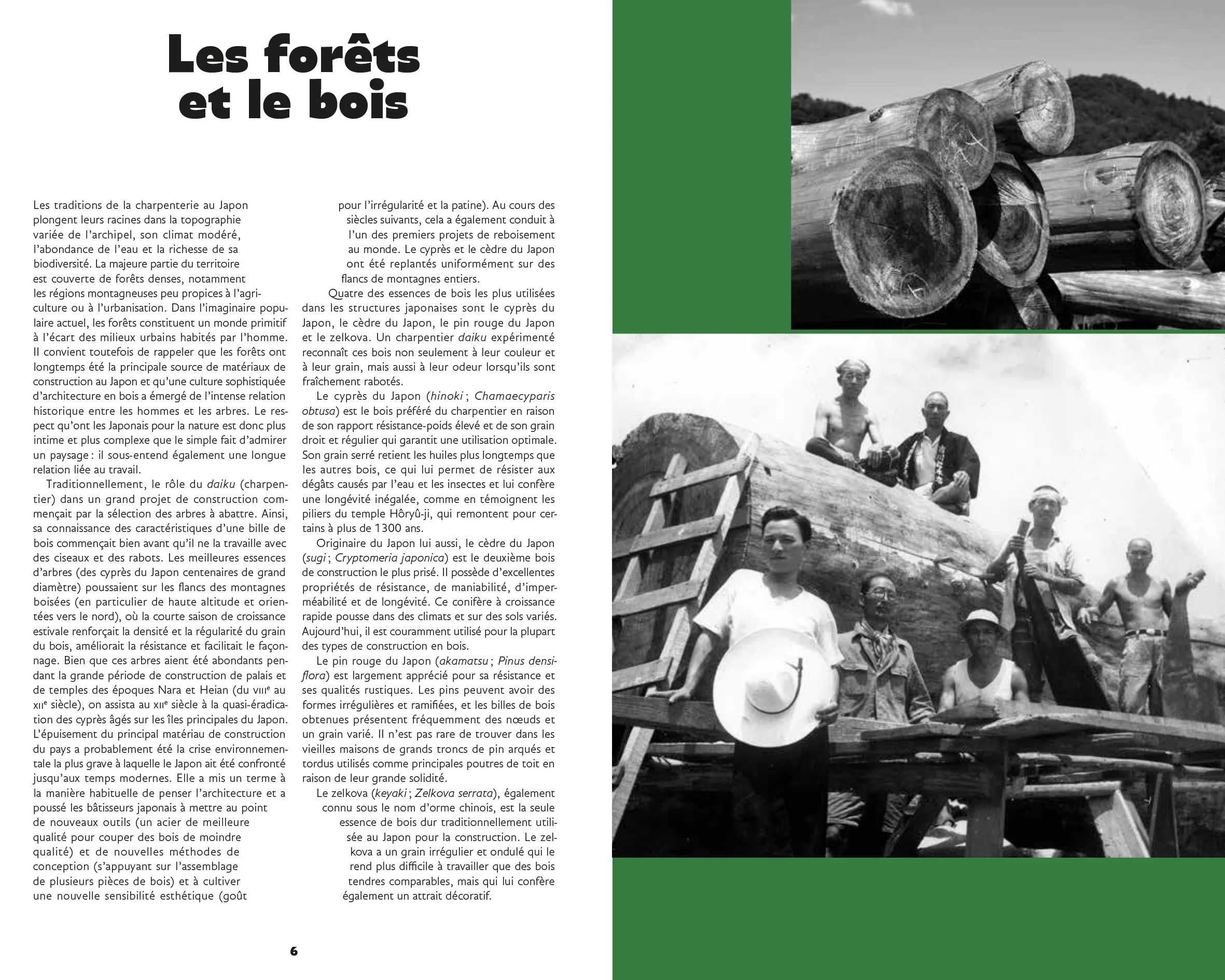 L'art des charpentiers japonais - Au cœur de l'architecture en bois traditionnelle - Image 3