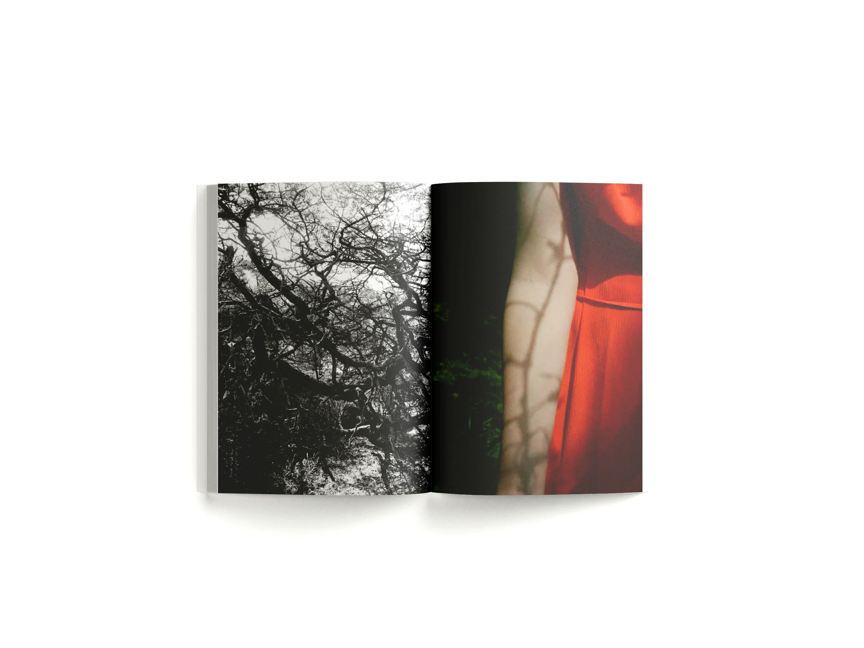 Lina Scheynius - Book 15 - Image 6