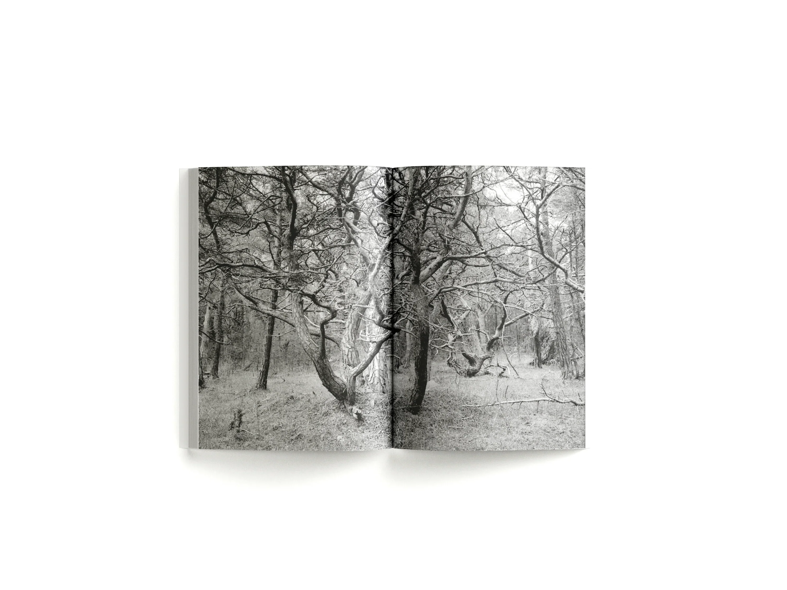 Lina Scheynius - Book 15 - Image 9