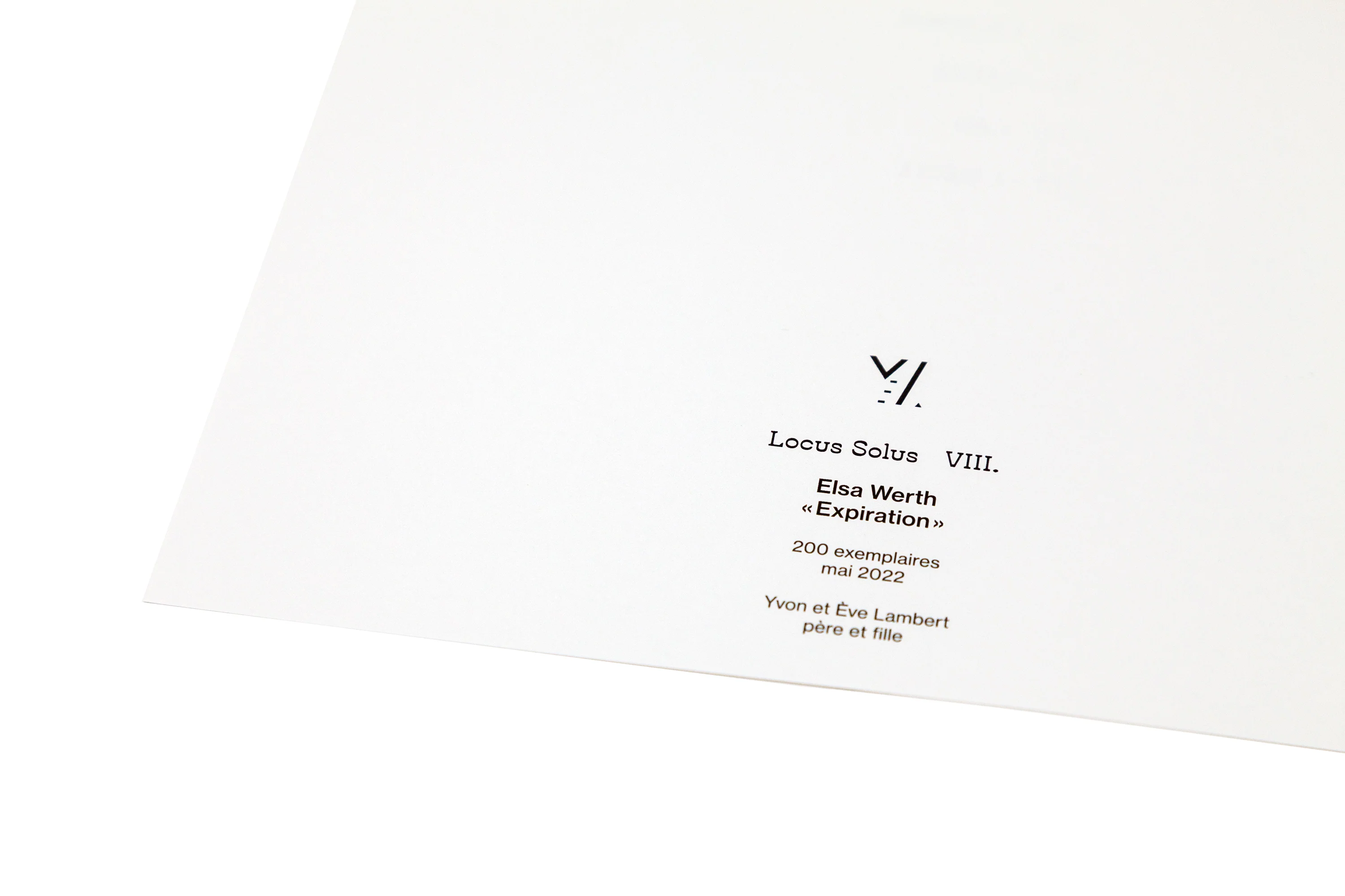 Locus Solus VIII. - Elsa Werth - Image 4