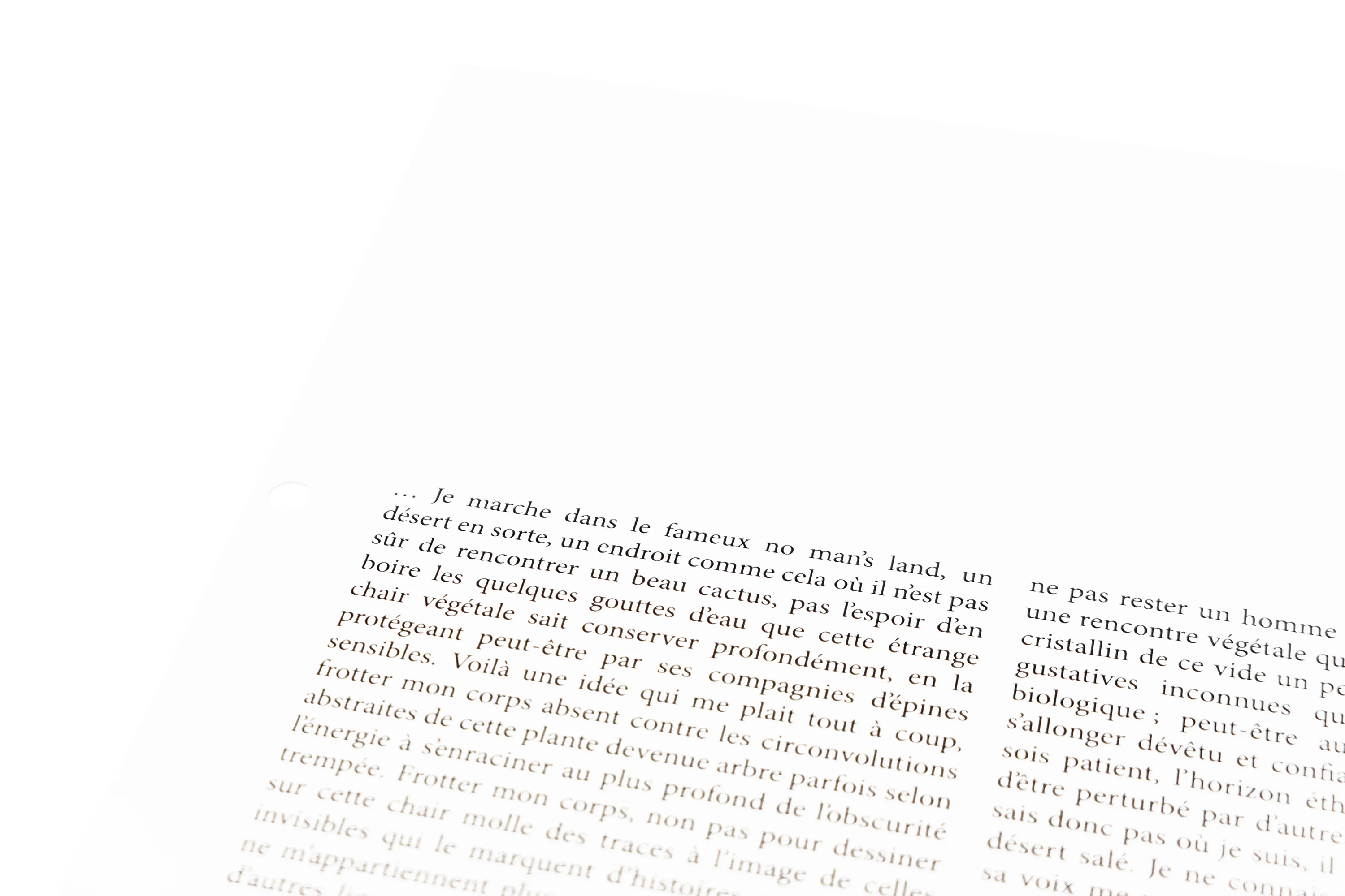 Locus Solus X. - Georges Tony Stoll - Image 3