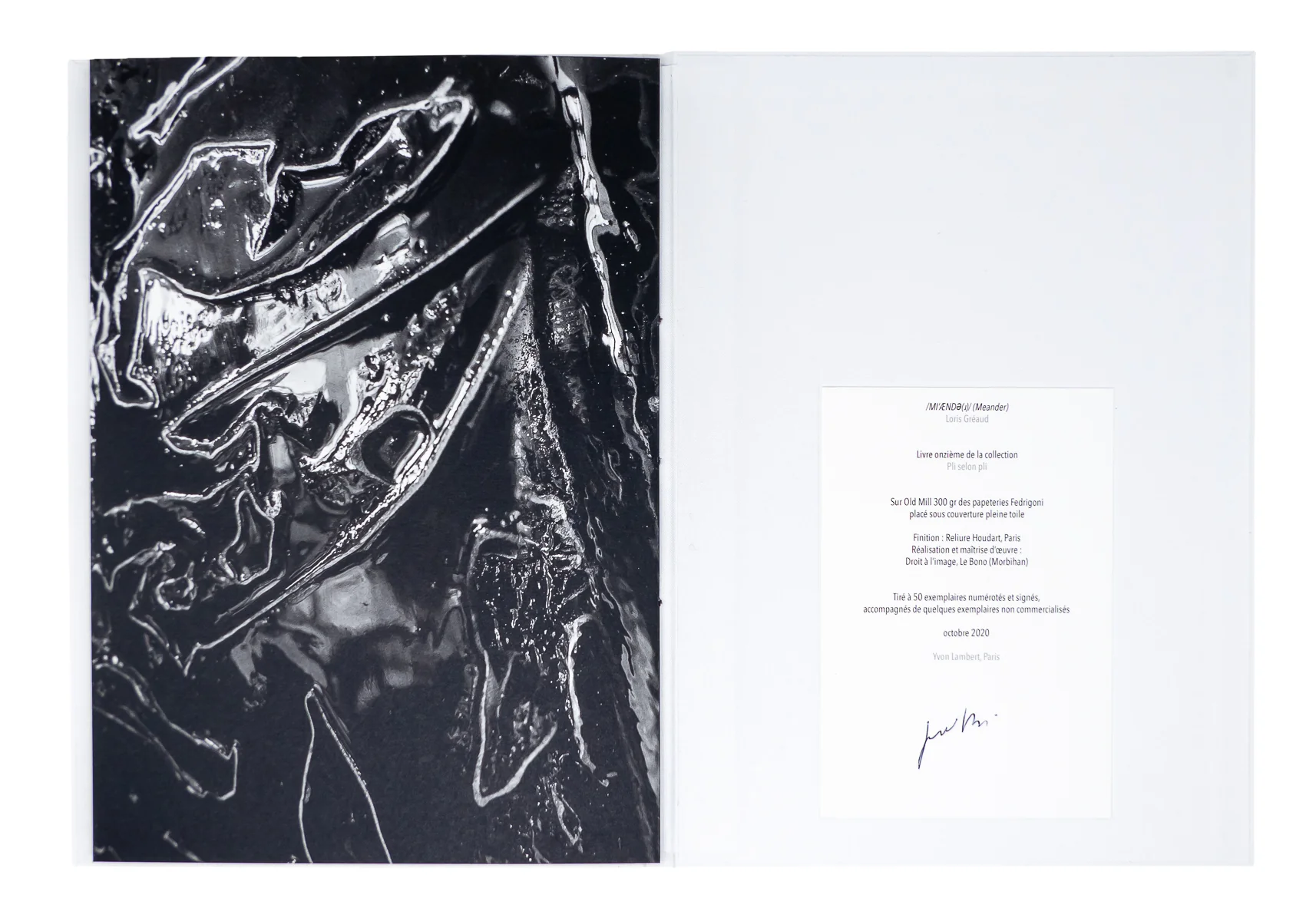 Loris Gréaud - /MIˈÆNDƏ(ɹ)/ Meander - Image 5