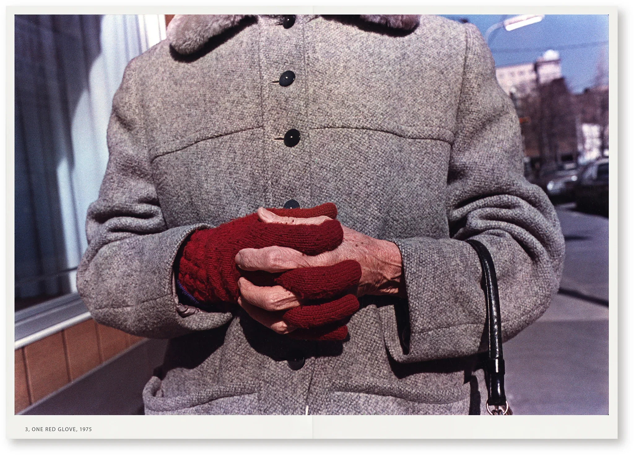 Mark Cohen - Bread in Snow - Image 9