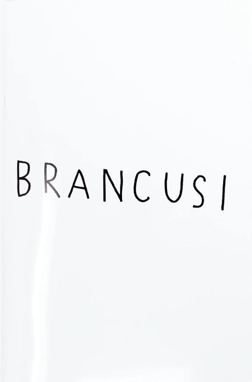 Masanao Hirayama - Brancusi