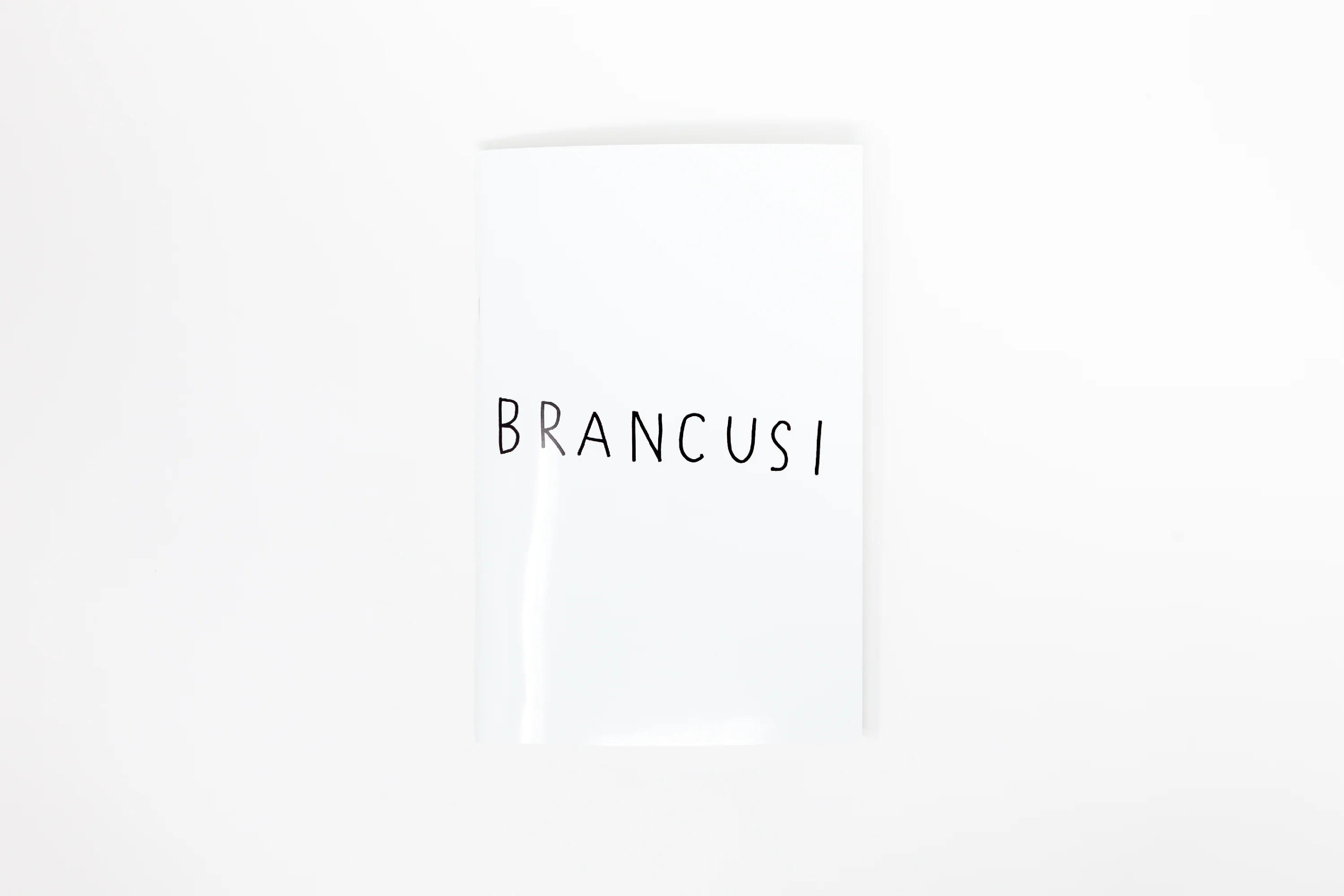 Masanao Hirayama - Brancusi - Image 2
