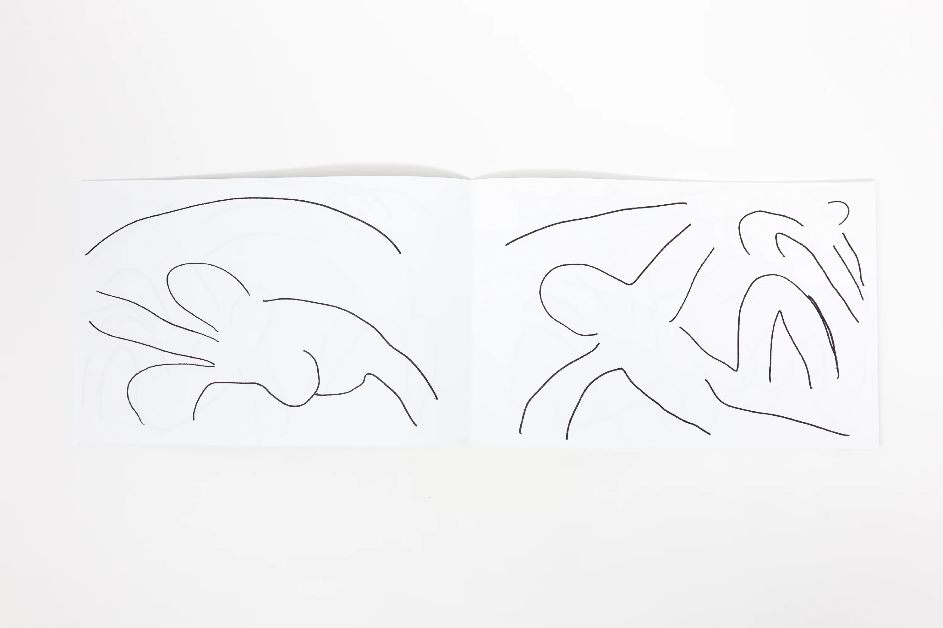 Masanao Hirayama - Matisse - Image 4