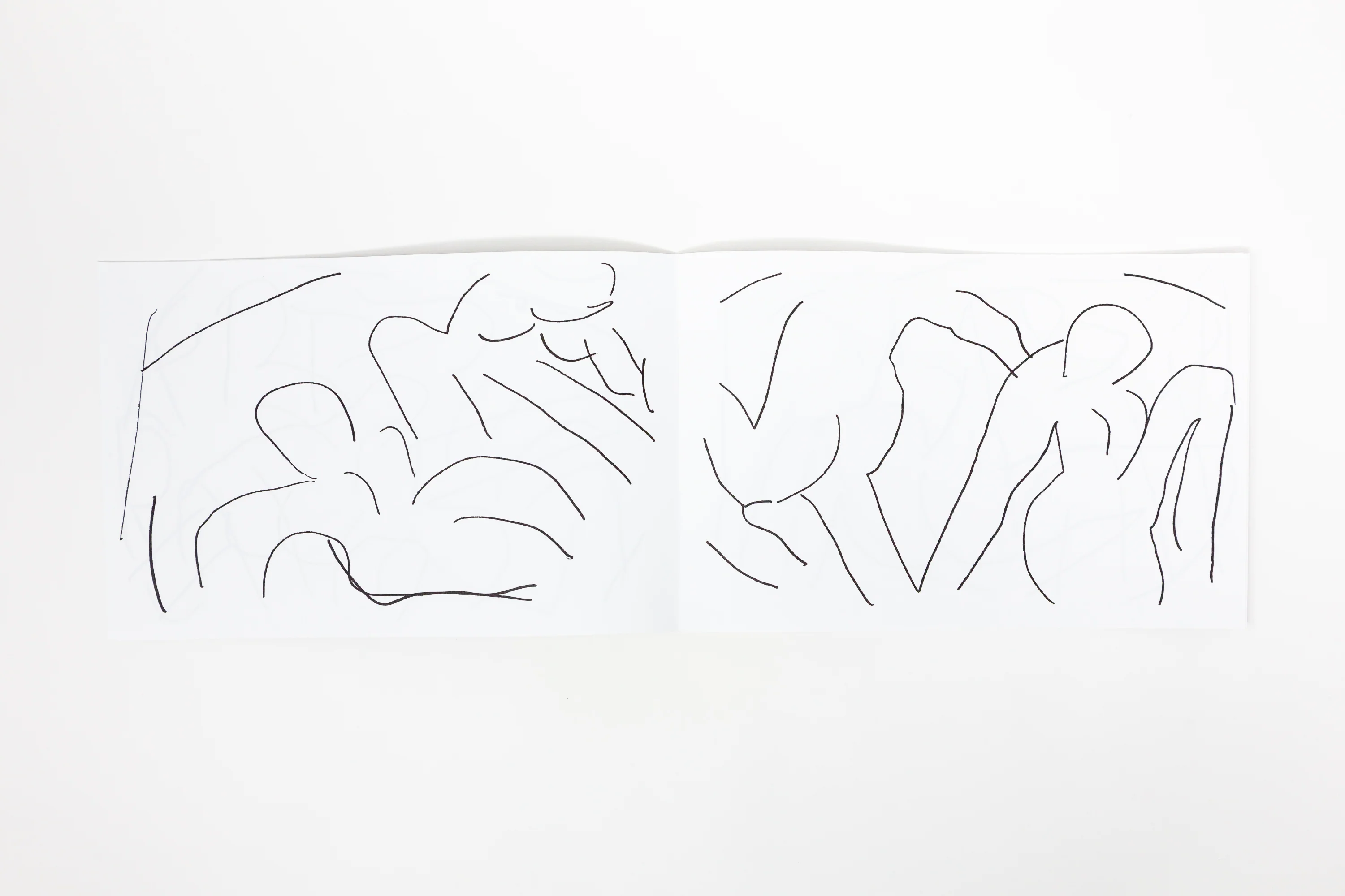 Masanao Hirayama - Matisse - Image 5