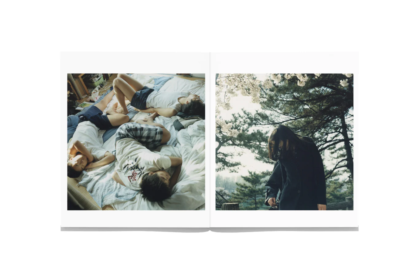 Mikiko Hara - Small Myths - Image 10