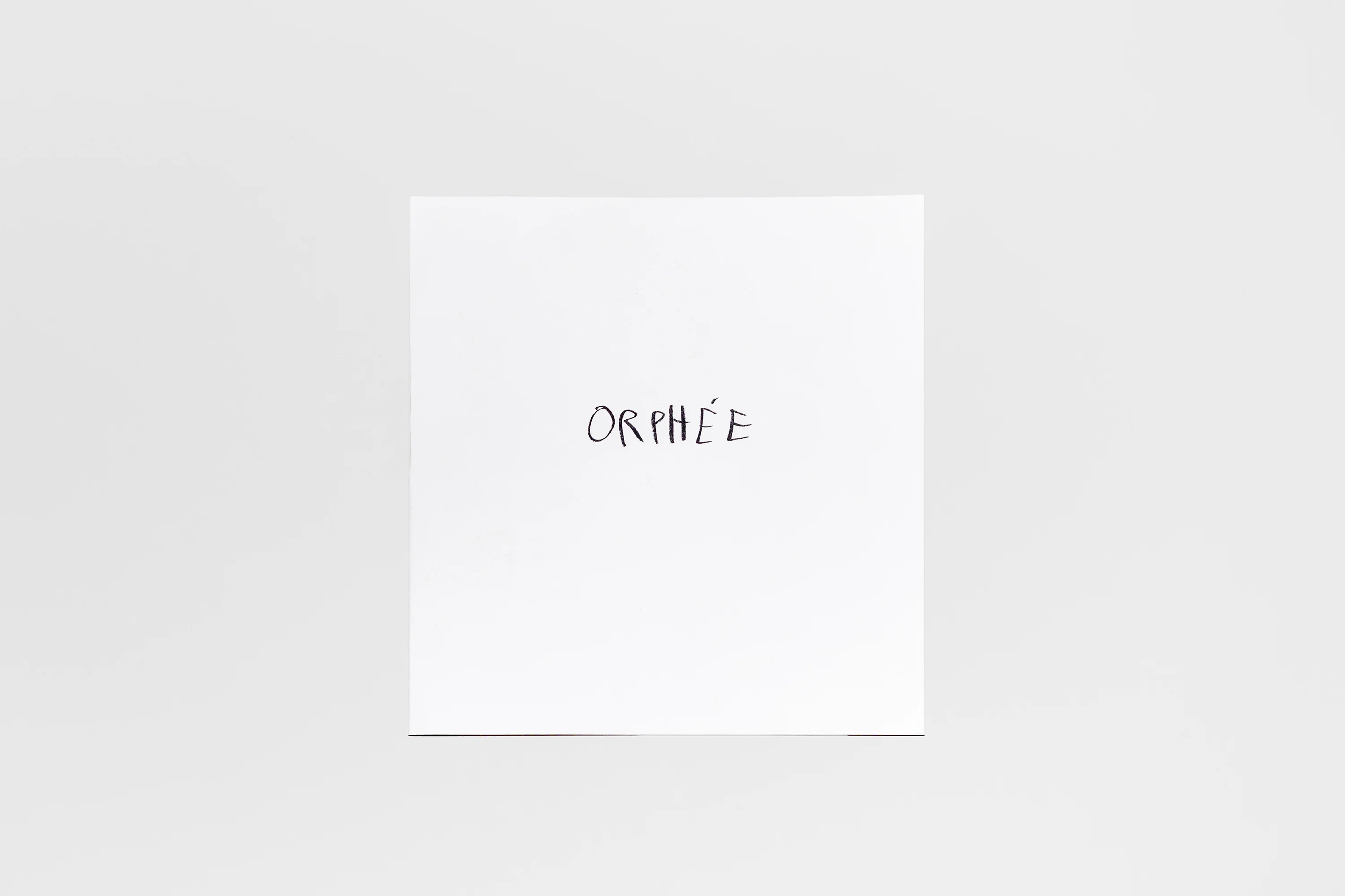 Miquel Barceló & Guillaume Apollinaire - Le Bestiaire ou Cortège d’Orphée - Image 12