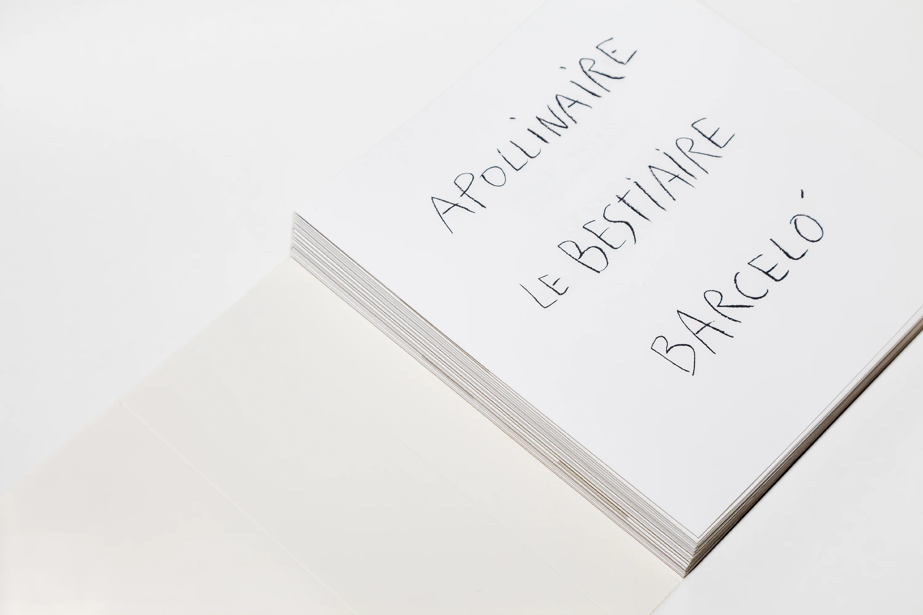 Miquel Barceló & Guillaume Apollinaire - Le Bestiaire ou Cortège d’Orphée - Image 9