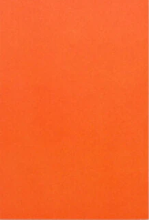 Nathalie Du Pasquier - Campo di Marte II - Image 2