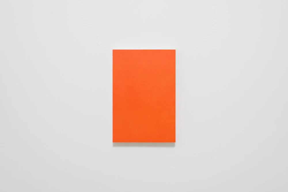 Nathalie Du Pasquier - Campo di Marte II - Image 4