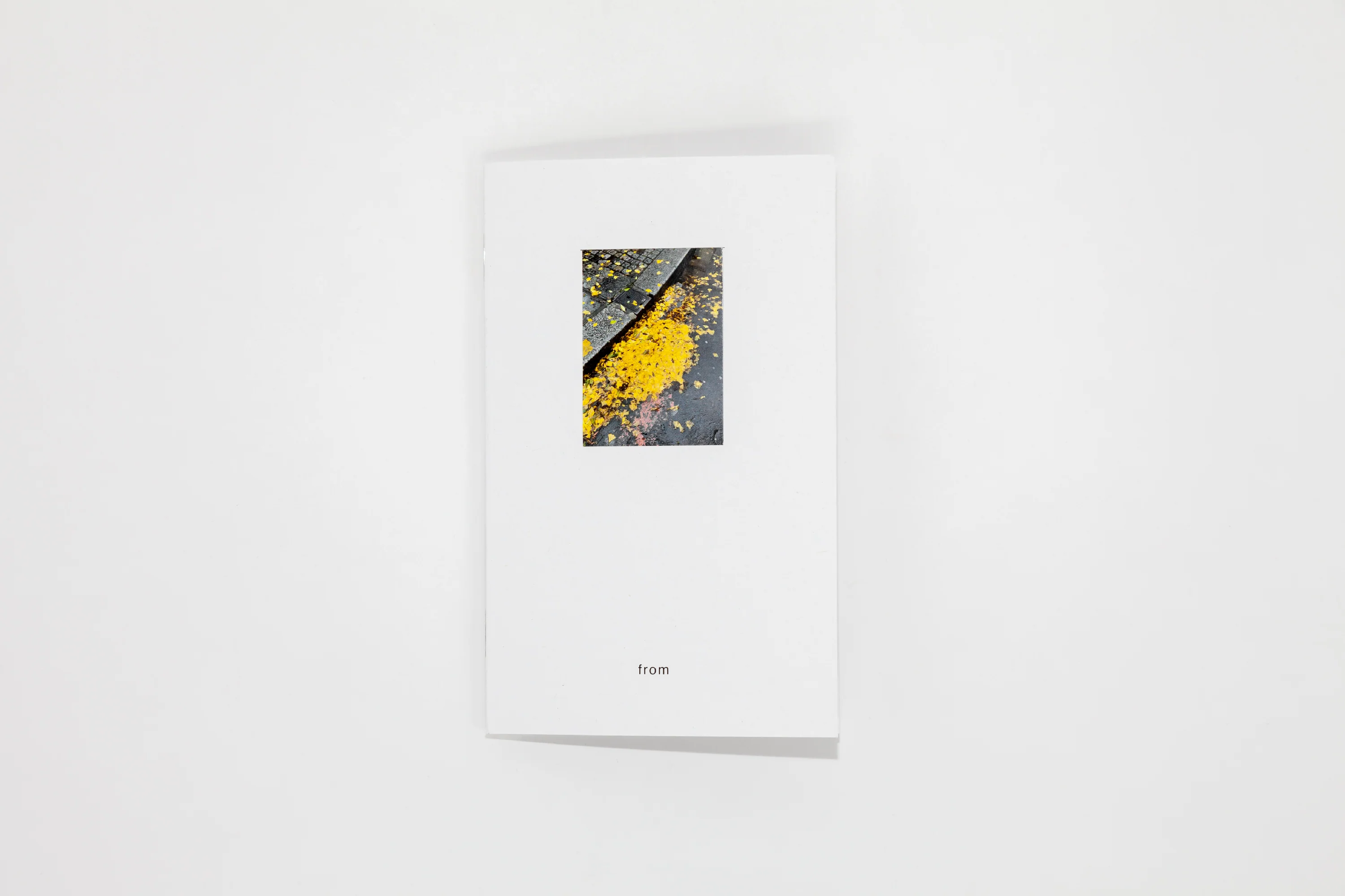 Nigel Peake - From (Paris) - Image 2