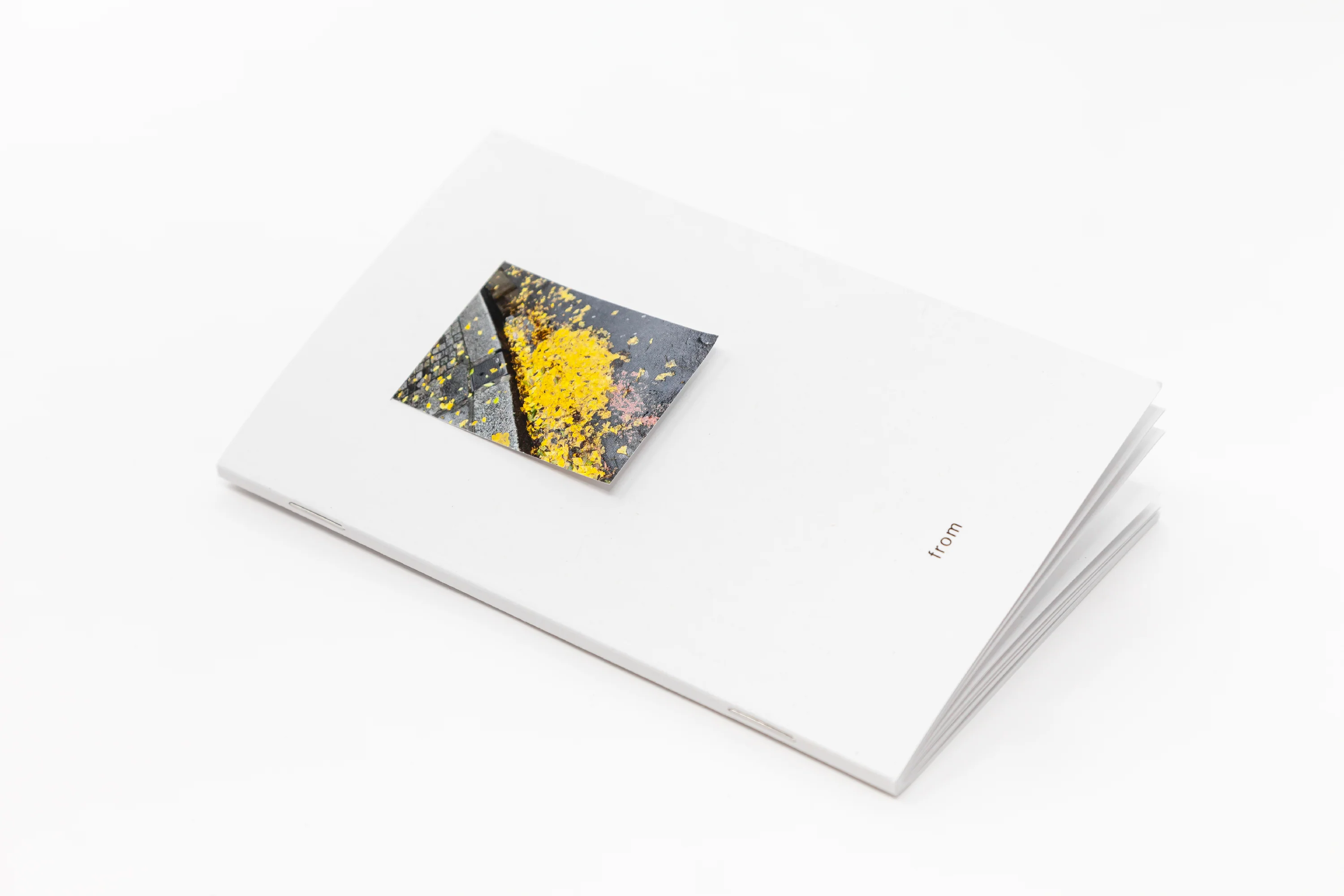 Nigel Peake - From (Paris) - Image 6