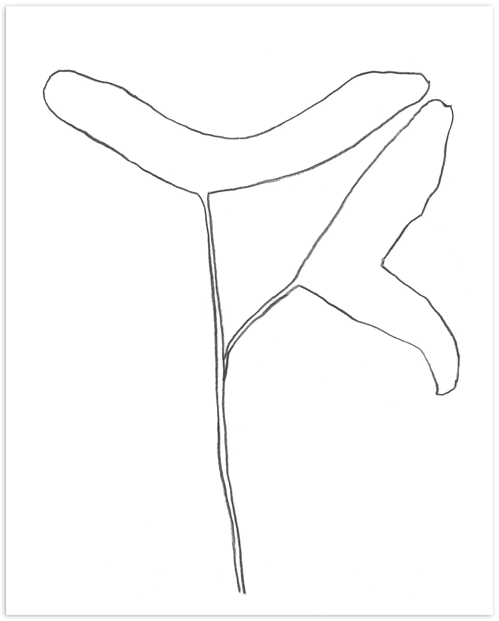 Nigel Peake - Propellor (Sycamore) - Image 2