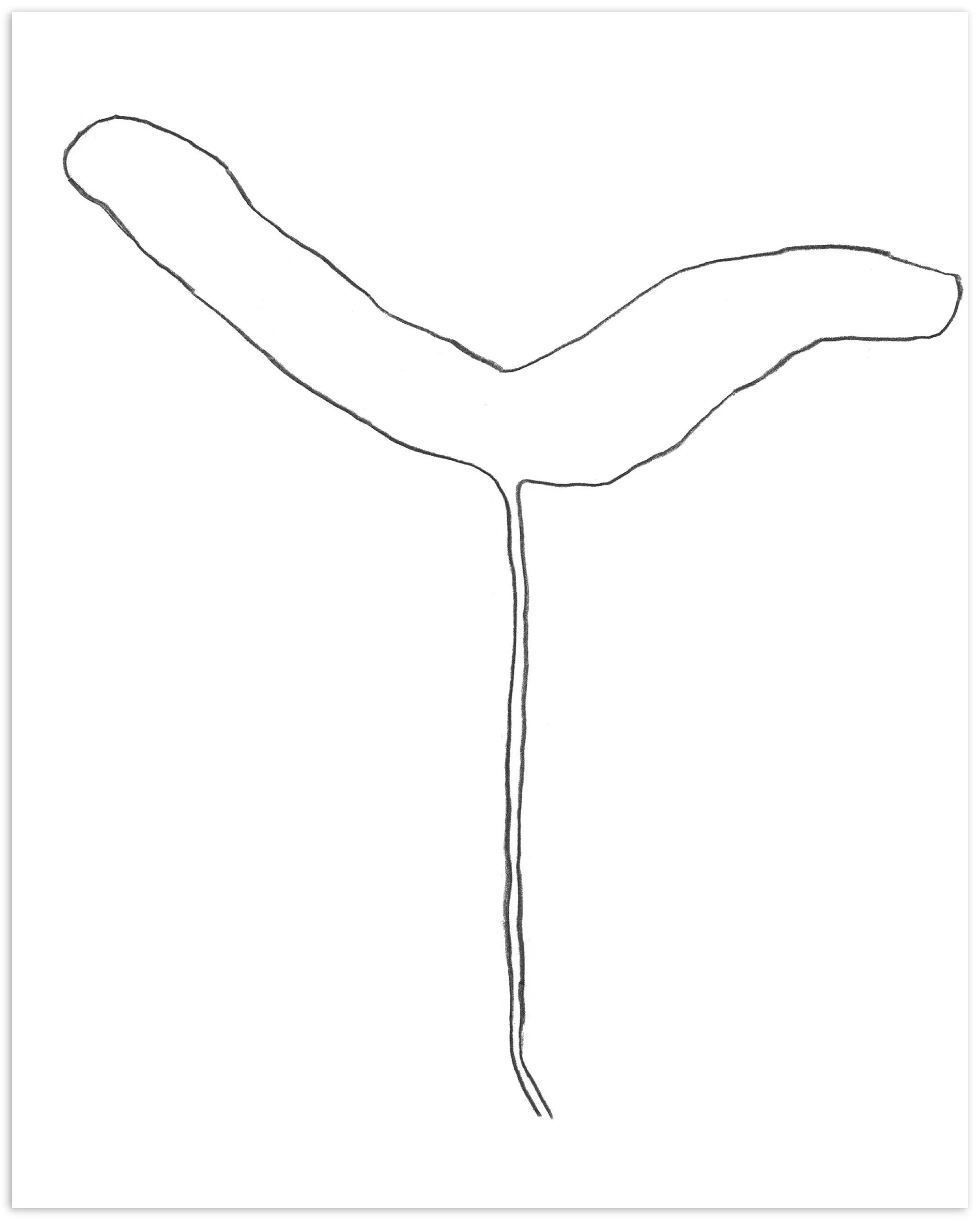 Nigel Peake - Propellor (Sycamore) - Image 3