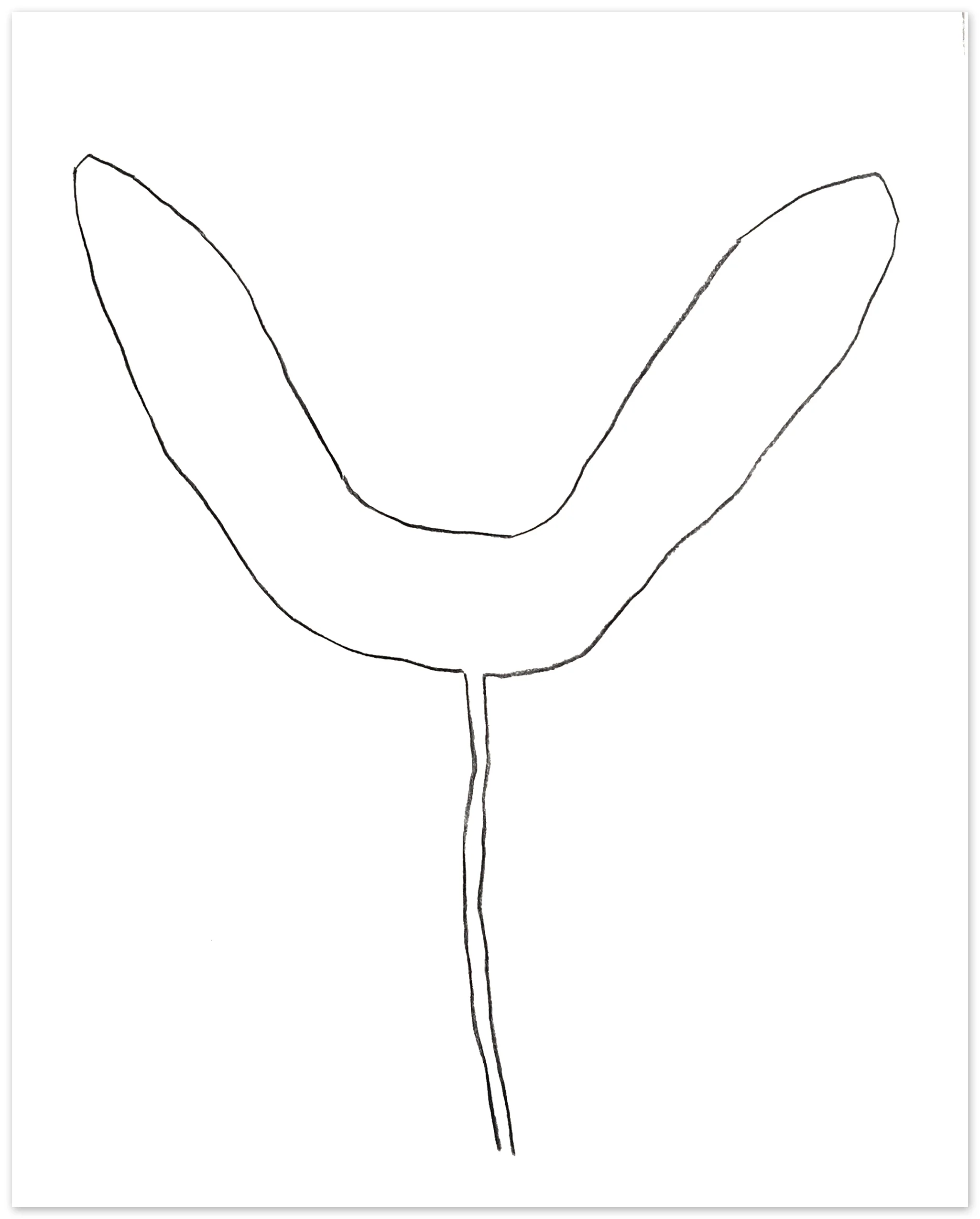 Nigel Peake - Propellor (Sycamore) - Image 4