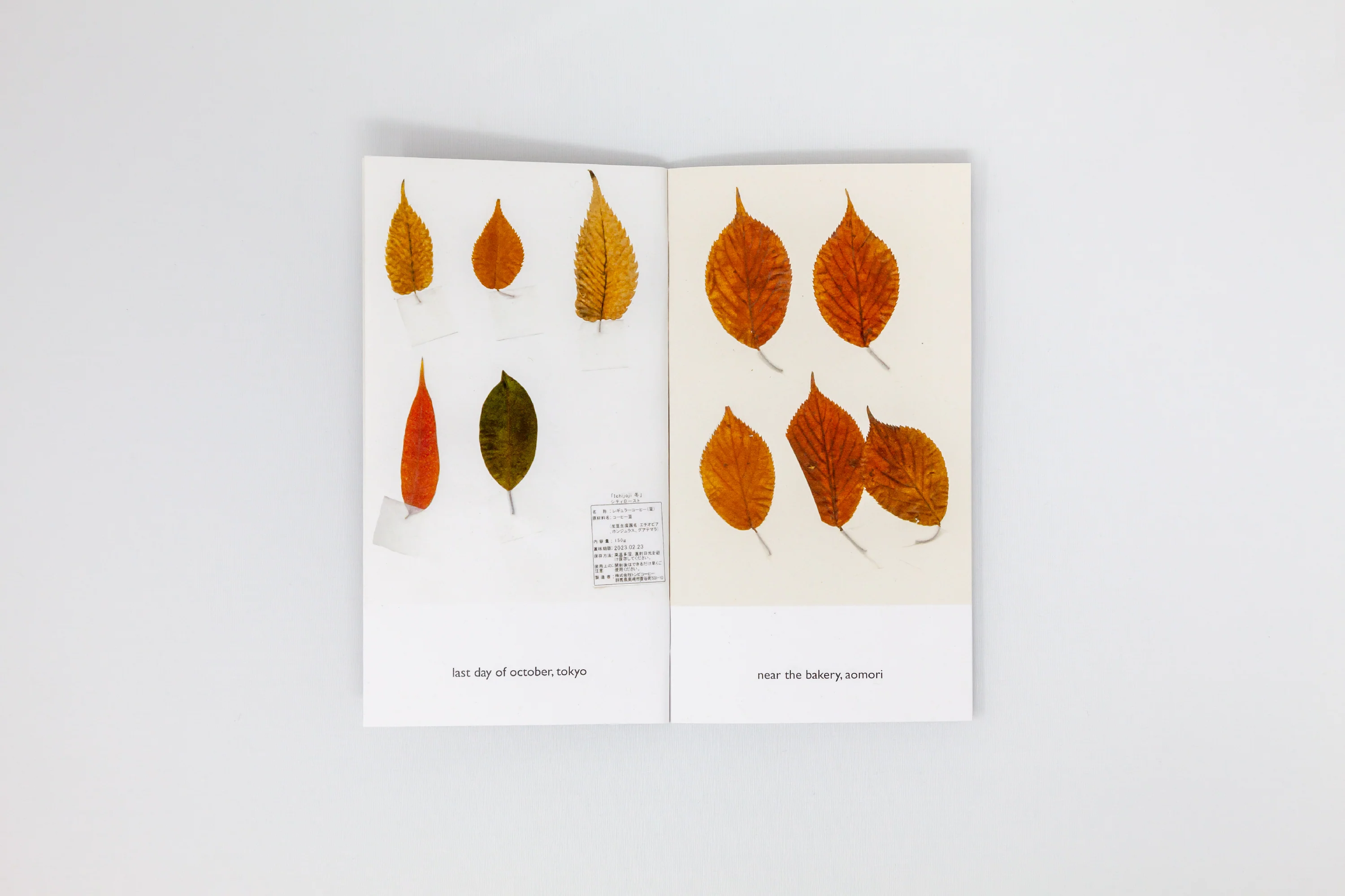 Nigel Peake - The Sound of a Leaf Falling - Image 4