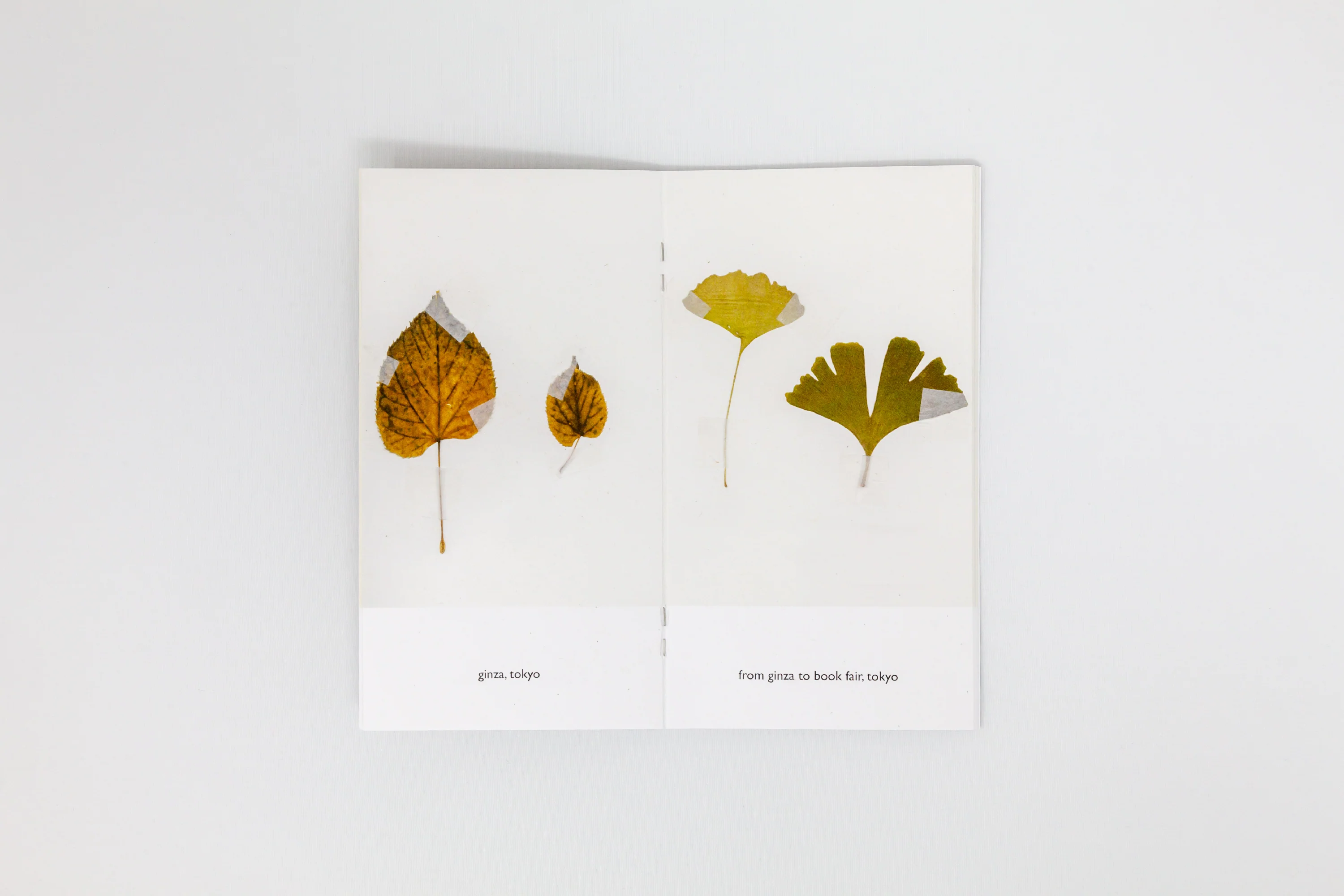 Nigel Peake - The Sound of a Leaf Falling - Image 6