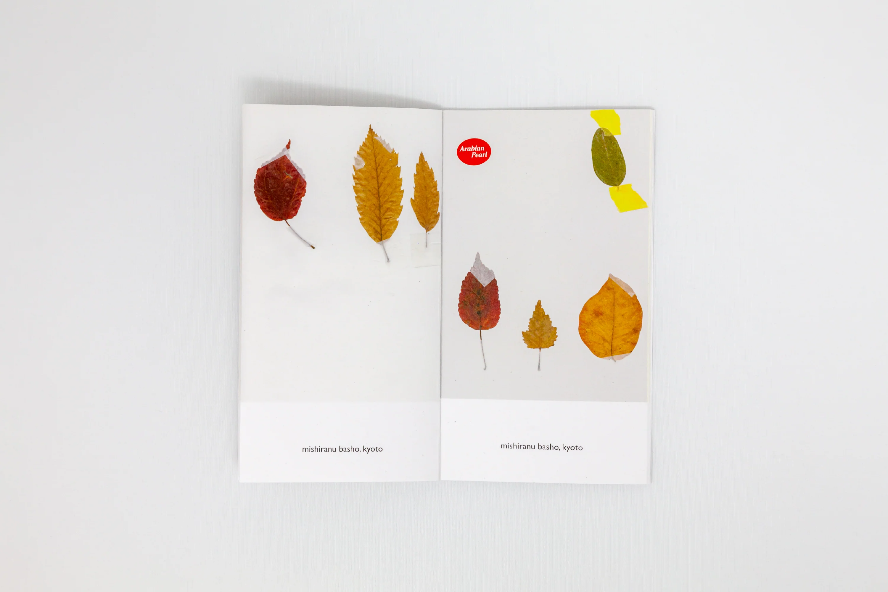 Nigel Peake - The Sound of a Leaf Falling - Image 7