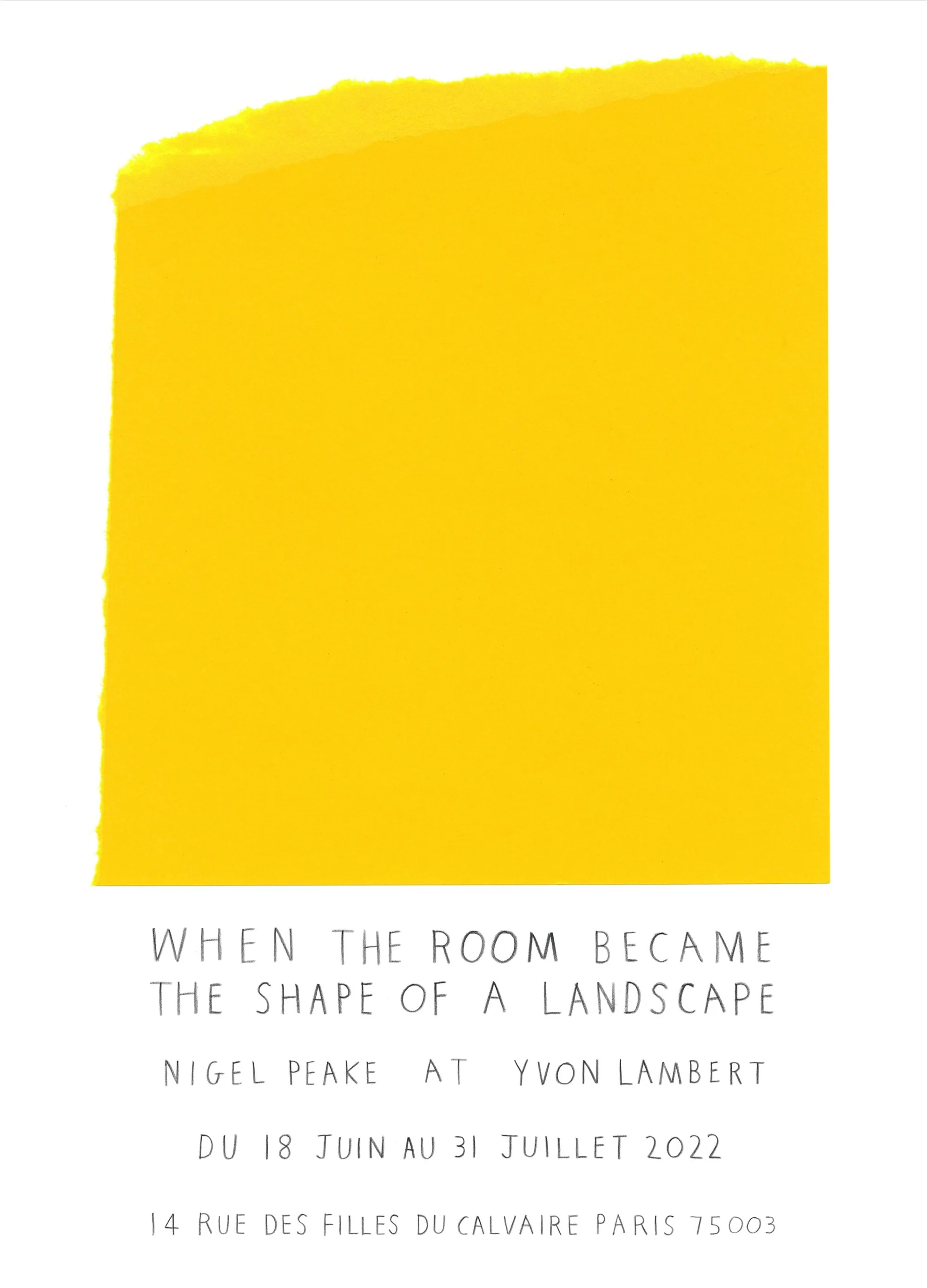 Nigel Peake - When the room became the shape of a landscape (Poster)