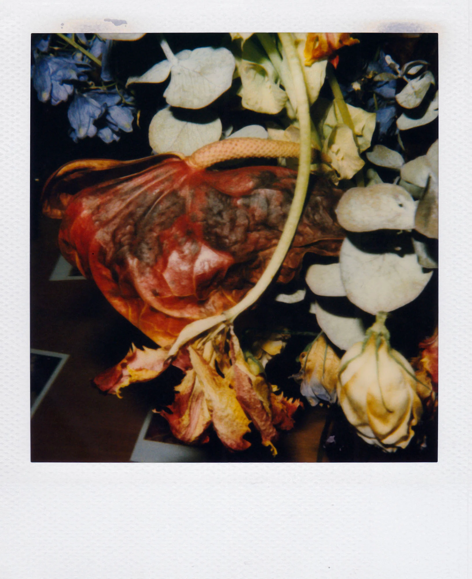 Nobuyoshi Araki <br><em>Flower</em>, 2006-2009 - Image 33