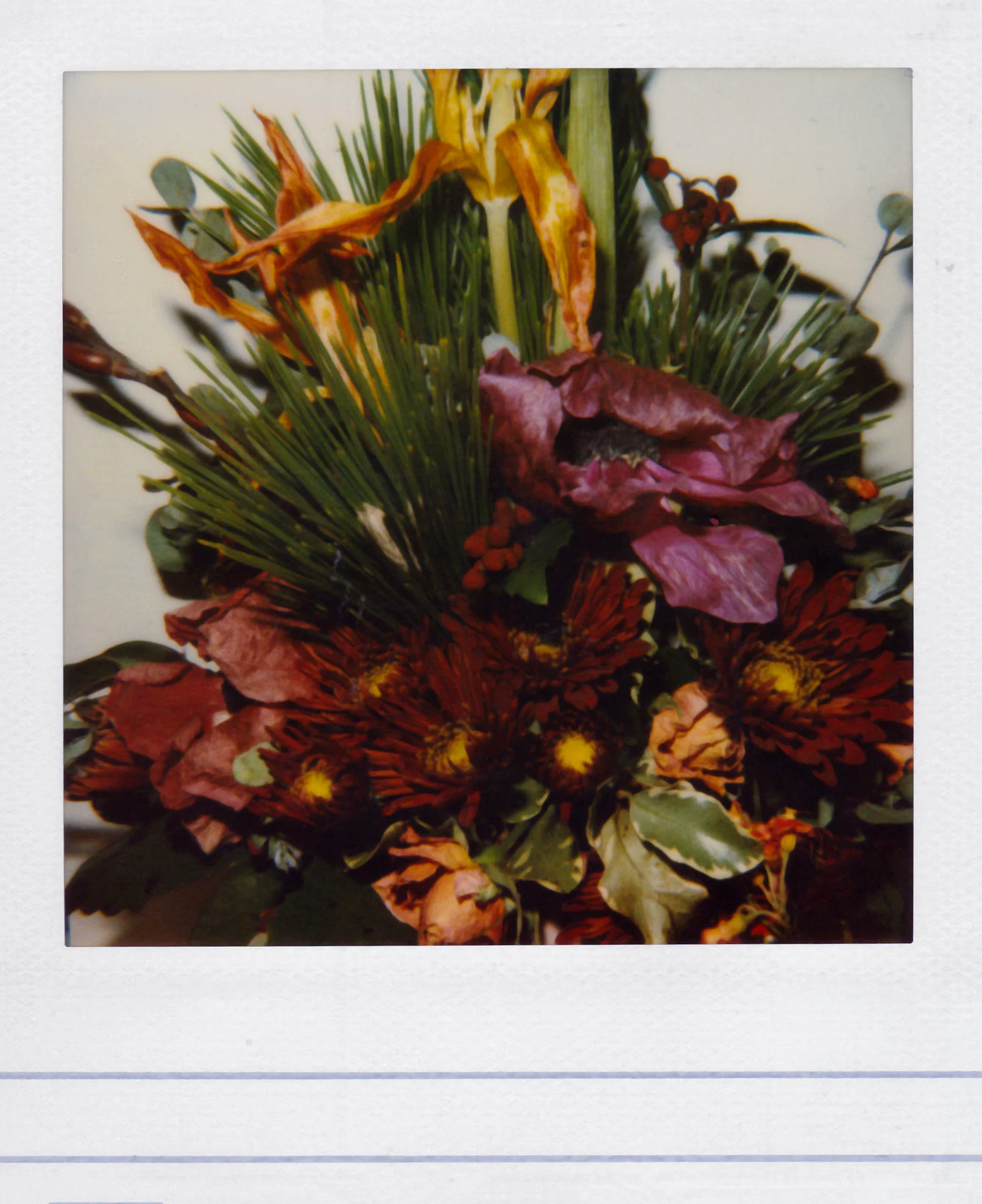 Nobuyoshi Araki <br><em>Flower</em>, 2006-2009 - Image 8