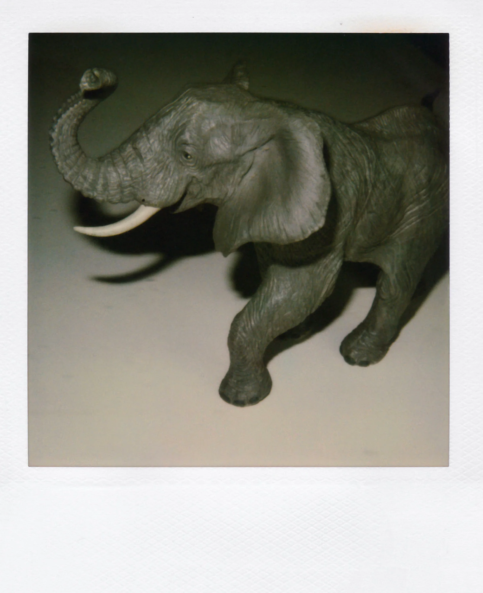 Nobuyoshi Araki <br><em>Object</em>, 2006-2009 - Image 10