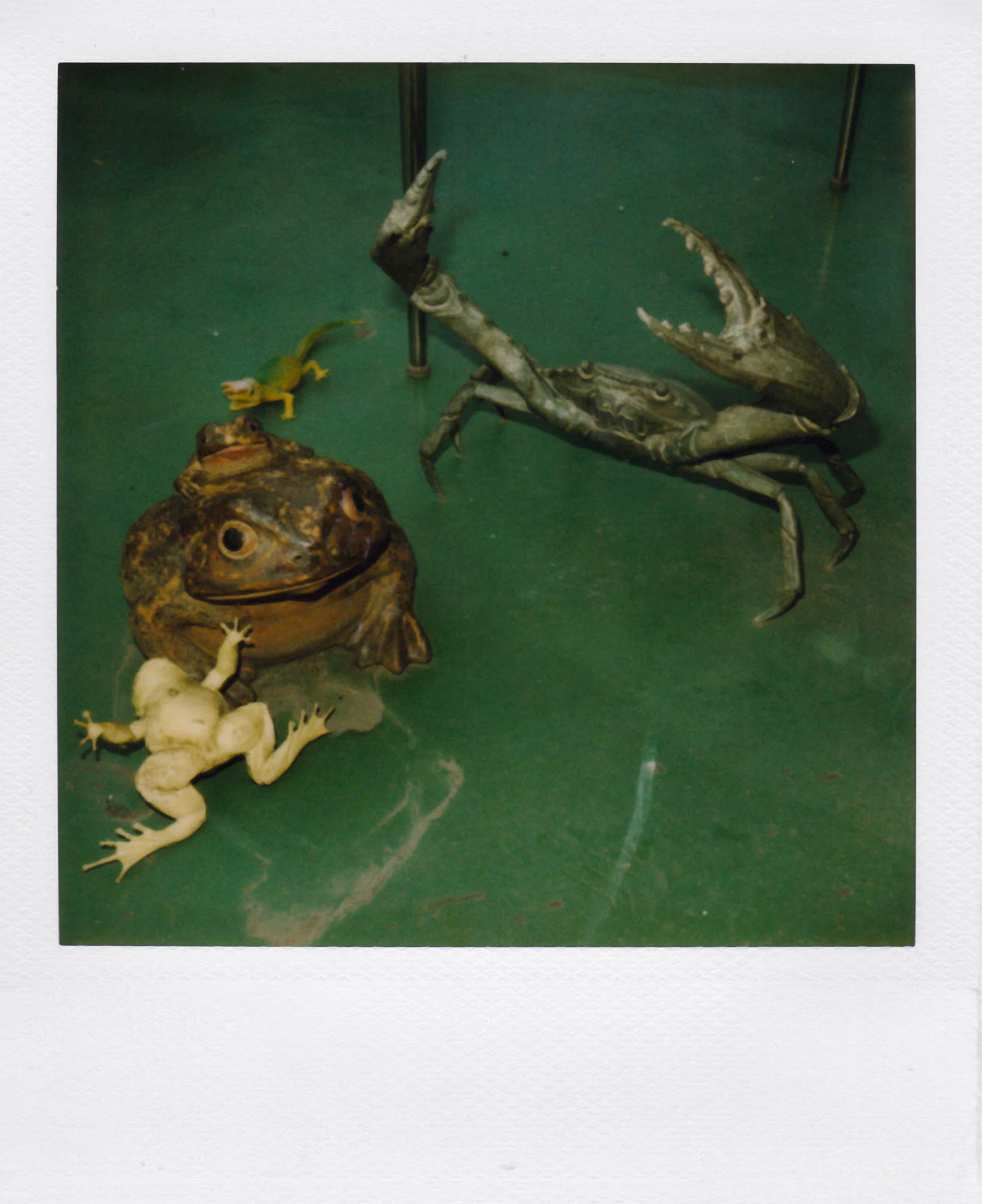 Nobuyoshi Araki <br><em>Object</em>, 2006-2009 - Image 21