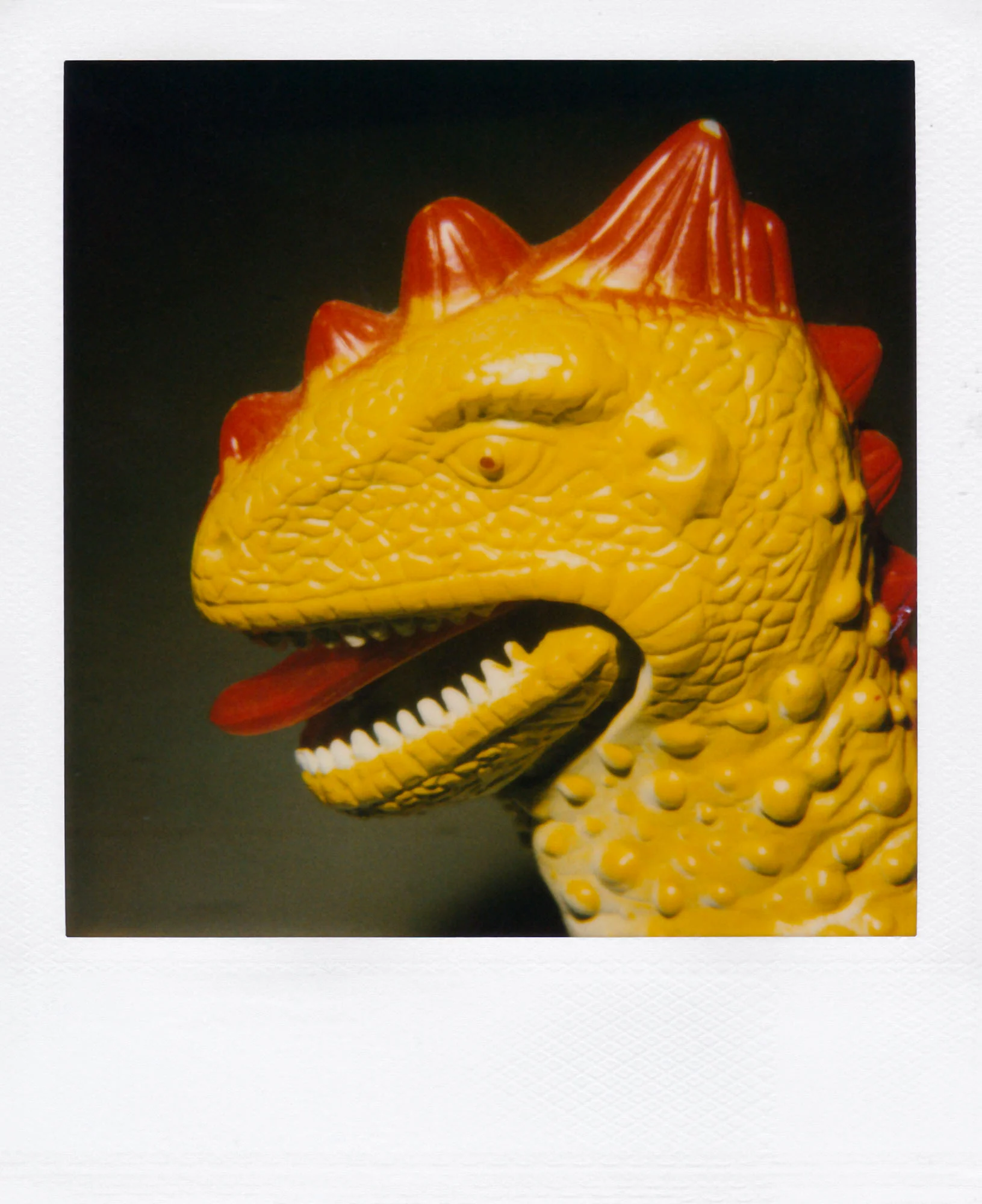 Nobuyoshi Araki <br><em>Object</em>, 2006-2009 - Image 3