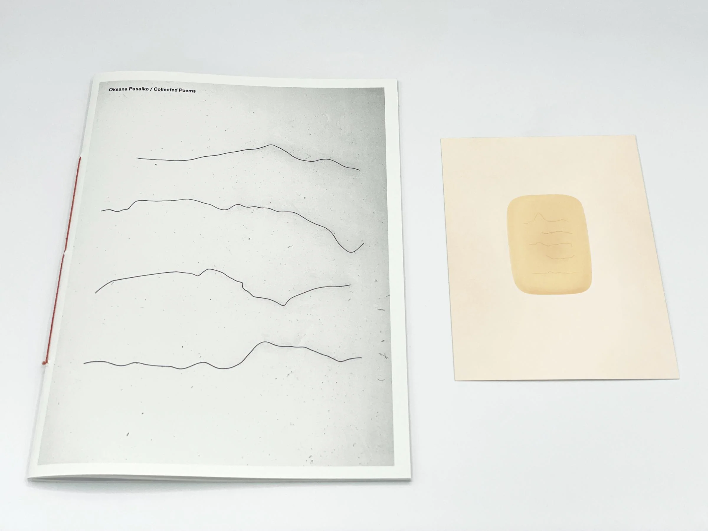 Oksana Pasaiko - Collected Poems (Limited Japanese edition) - Image 4