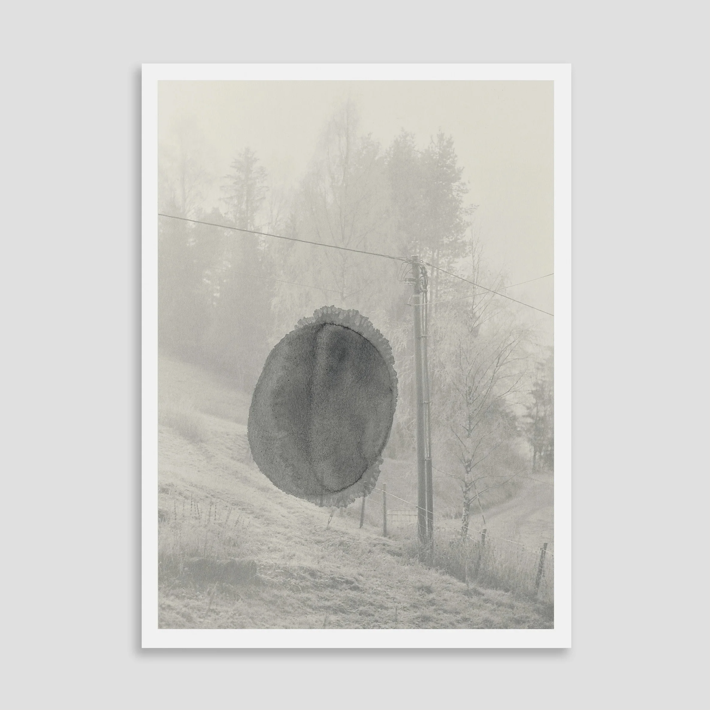 Ola Rindal - Stains & Ashes - Image 2