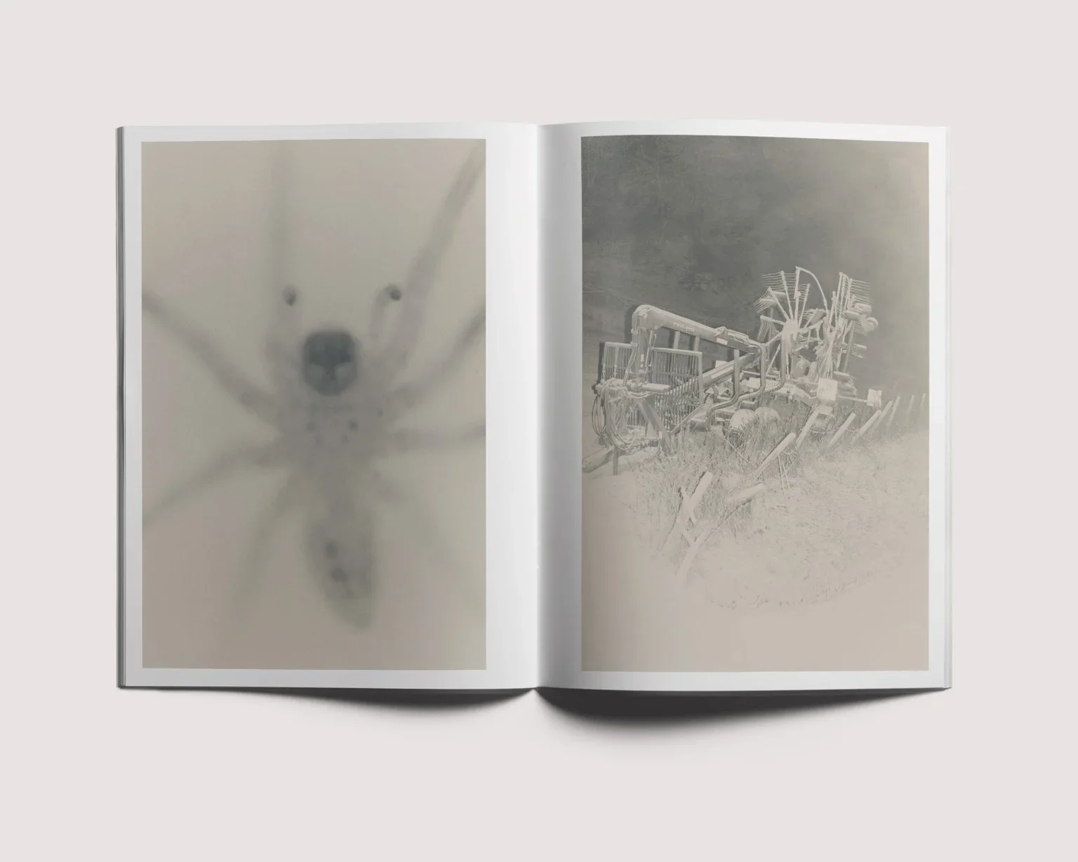 Ola Rindal - Stains & Ashes - Image 7