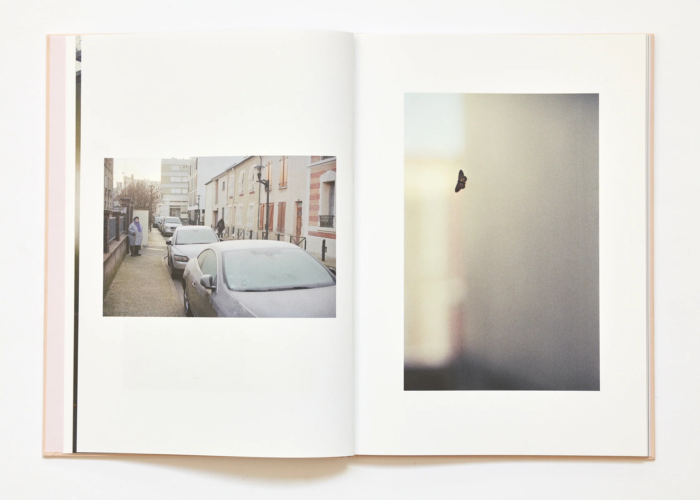 Ola Rindal - The Cloud the Bird and the Puddle - Image 11