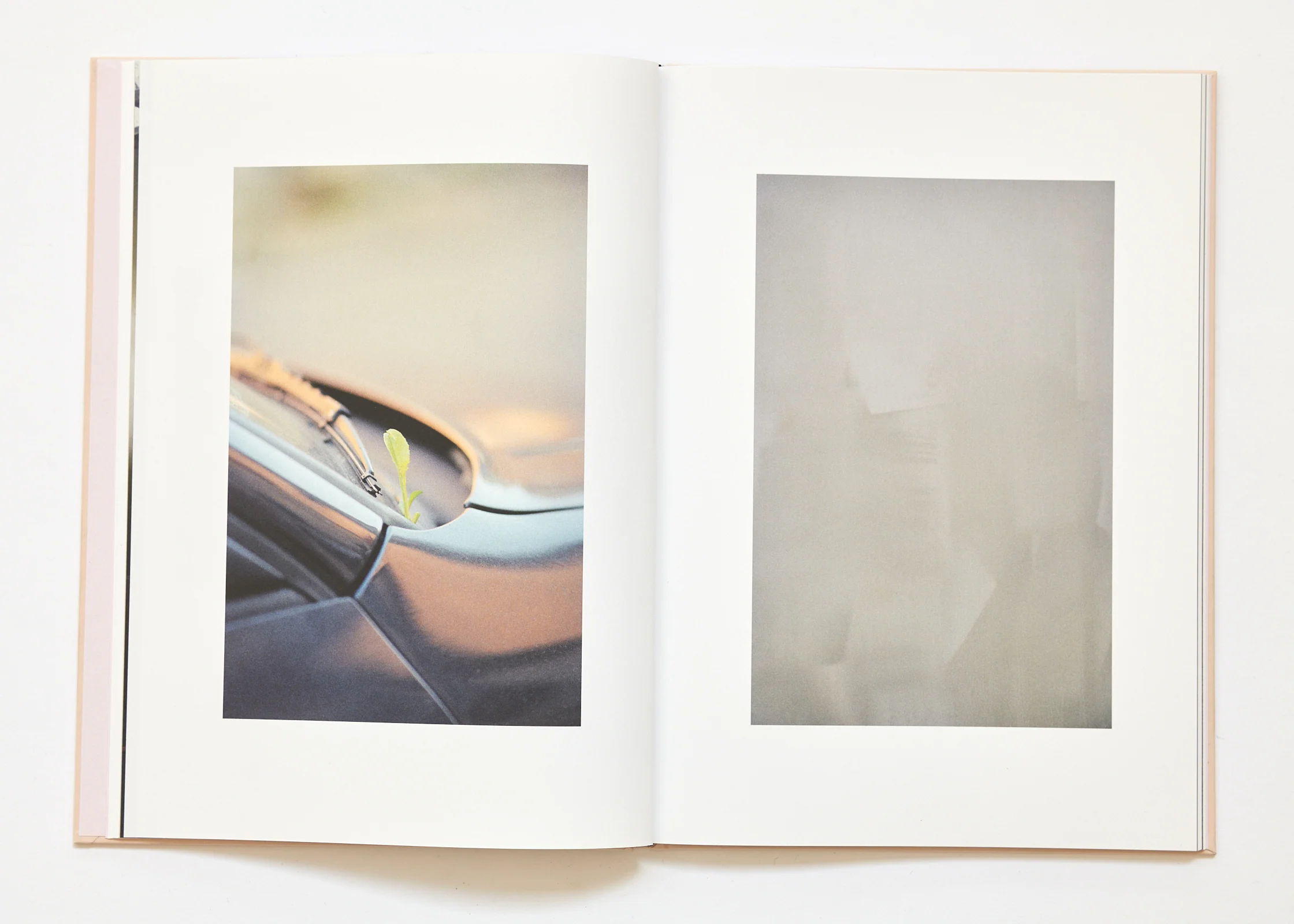 Ola Rindal - The Cloud the Bird and the Puddle - Image 12