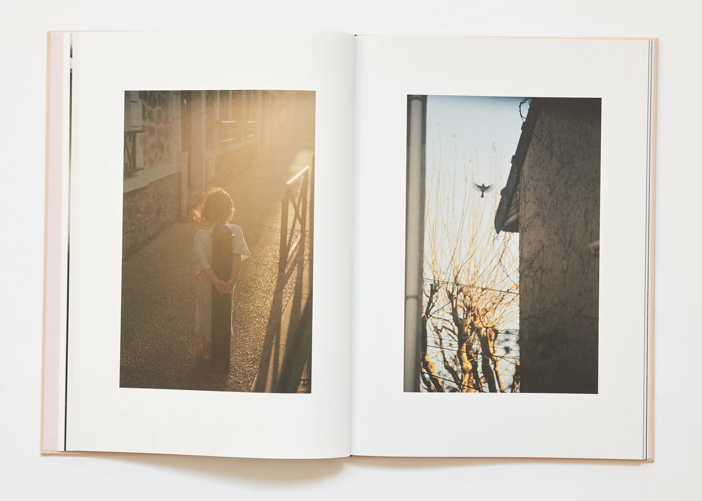 Ola Rindal - The Cloud the Bird and the Puddle - Image 13