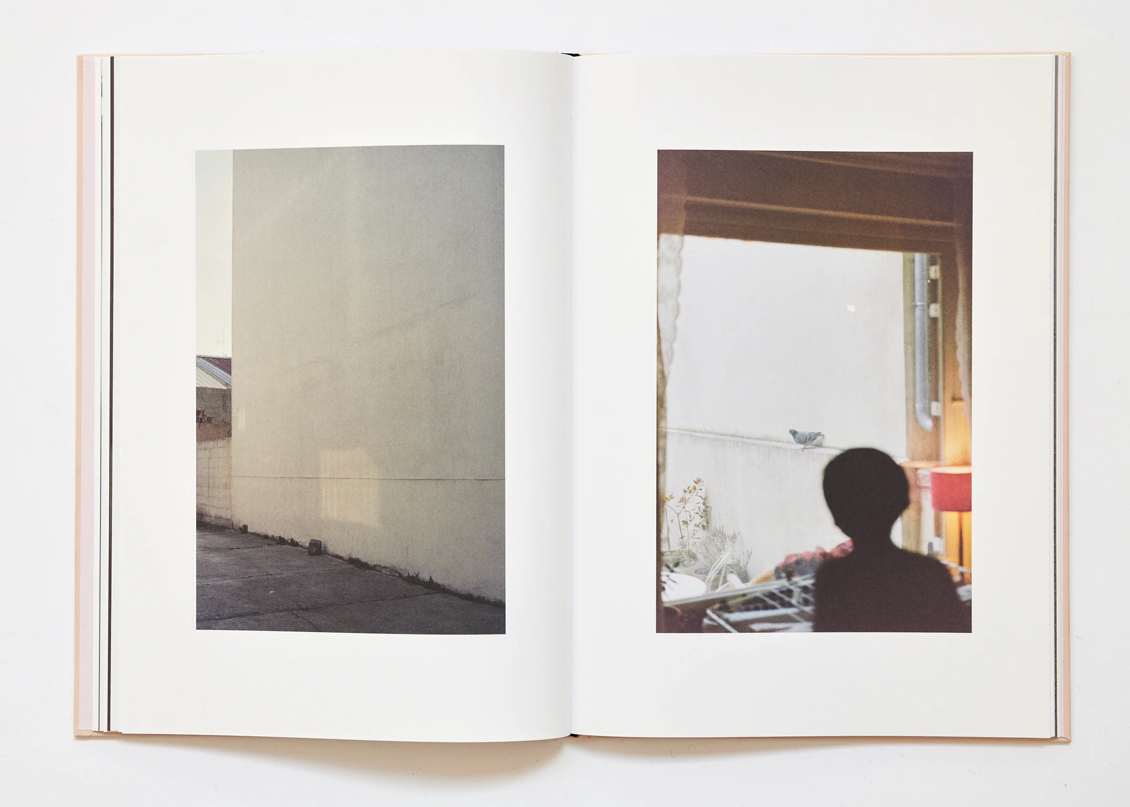 Ola Rindal - The Cloud the Bird and the Puddle - Image 17
