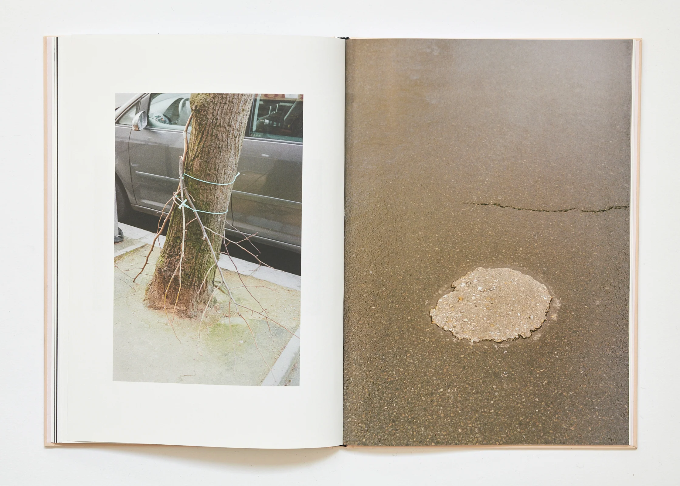 Ola Rindal - The Cloud the Bird and the Puddle - Image 23