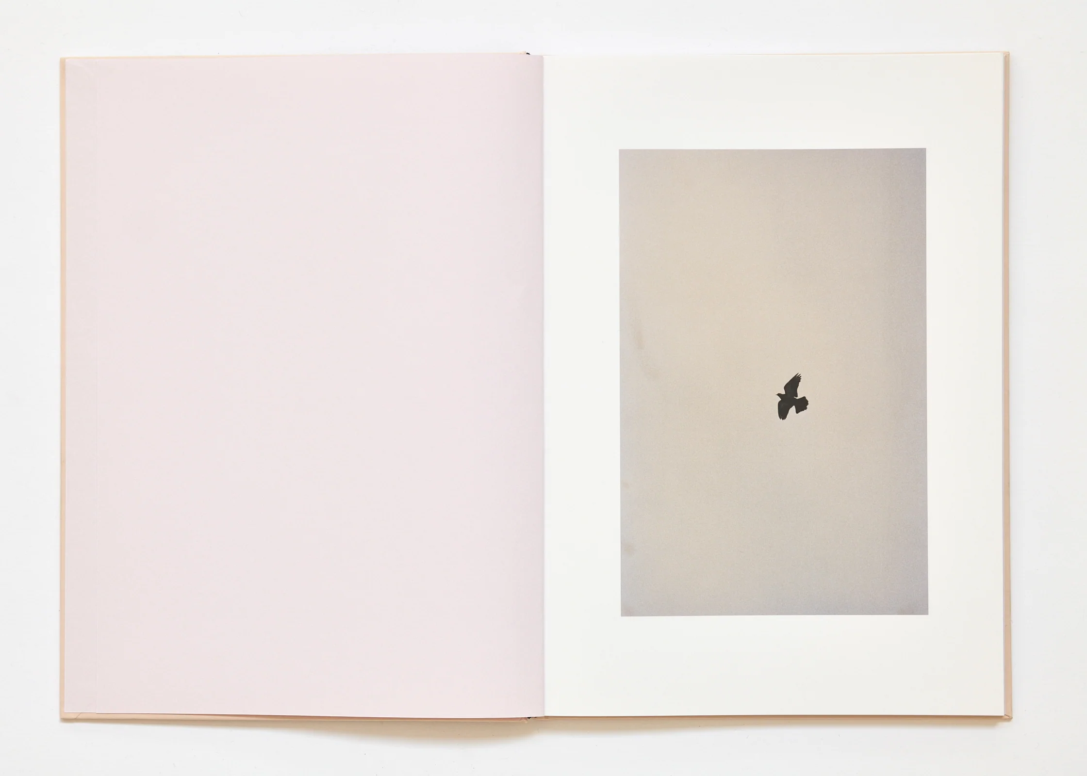 Ola Rindal - The Cloud the Bird and the Puddle - Image 3