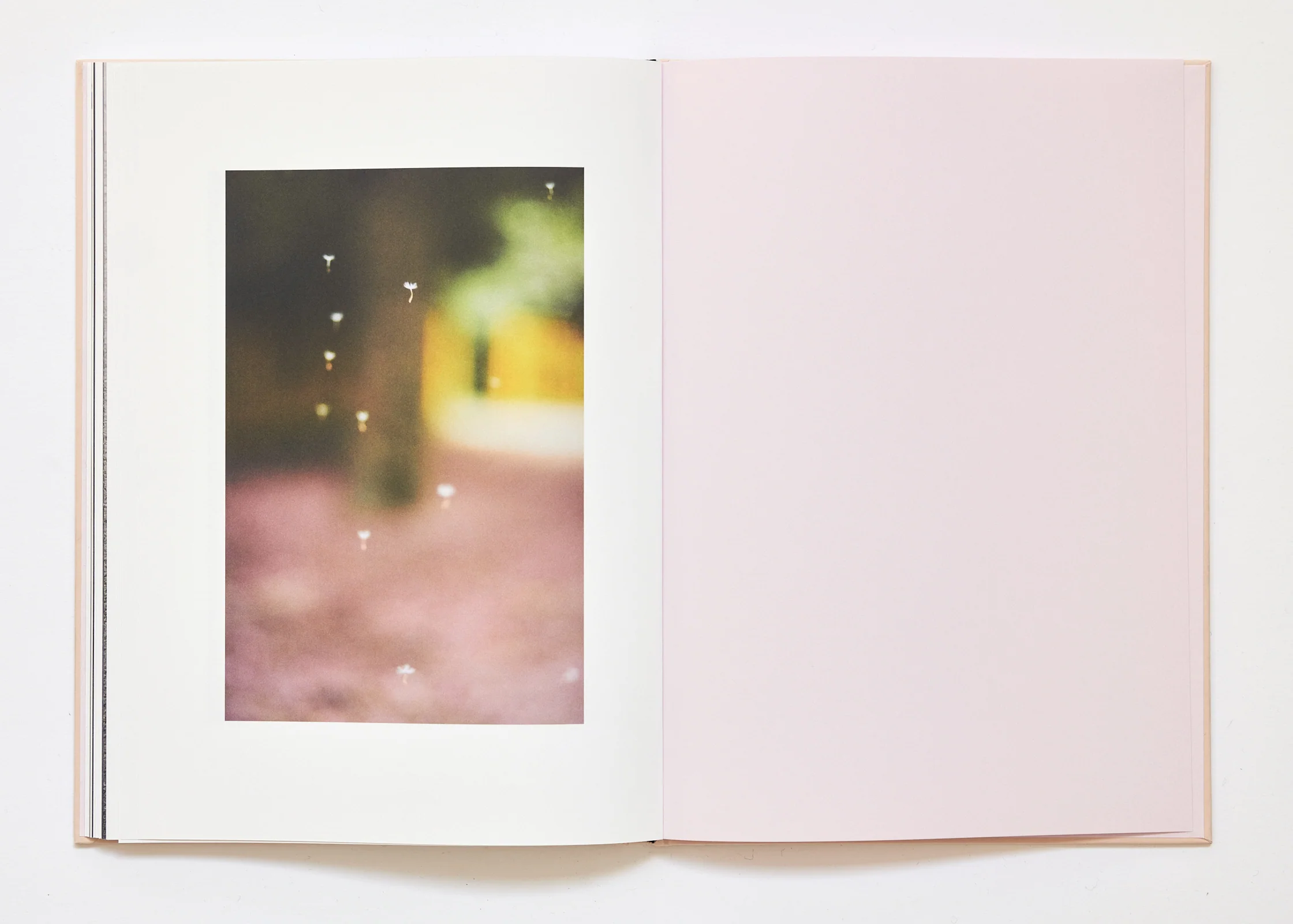 Ola Rindal - The Cloud the Bird and the Puddle - Image 30