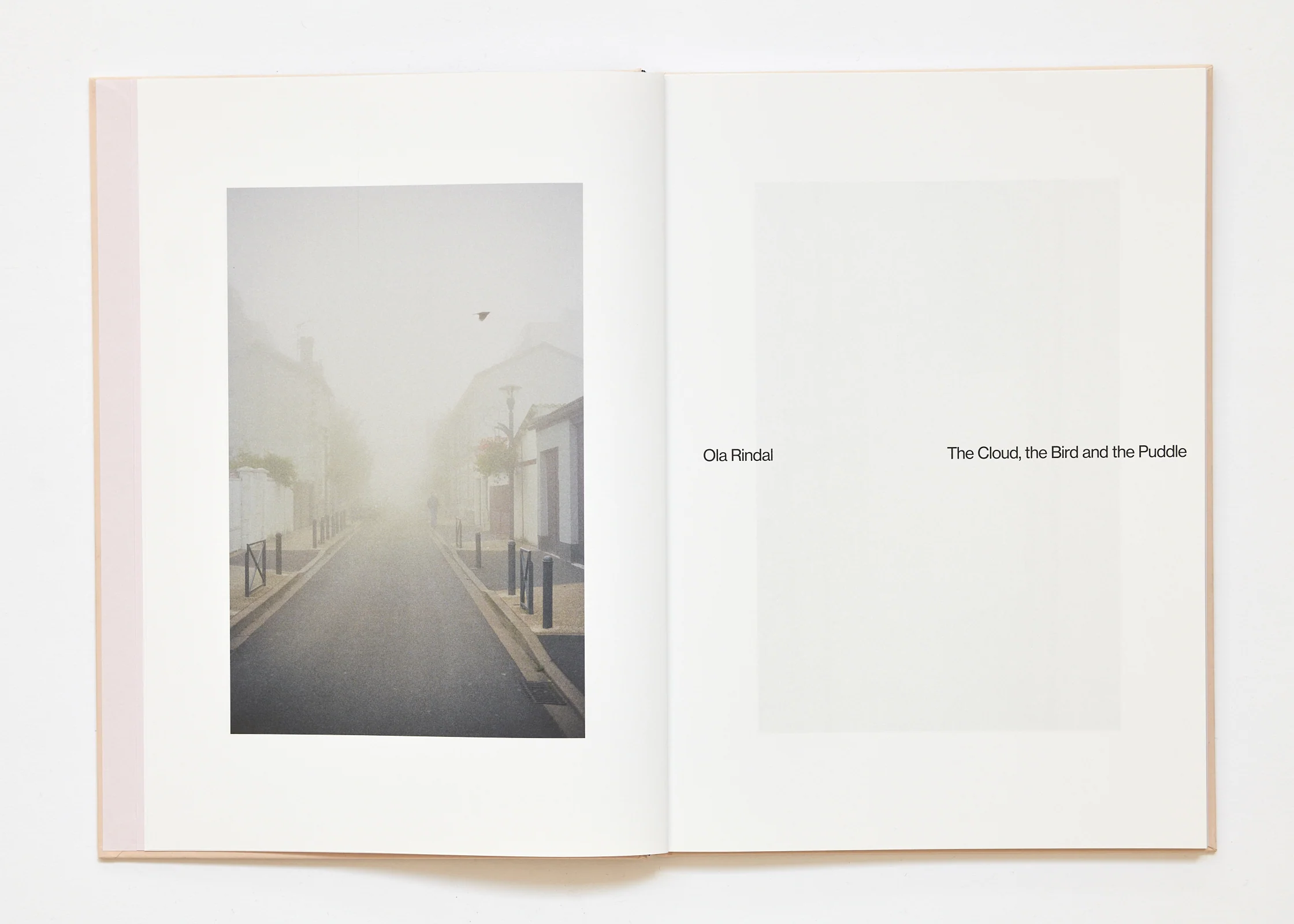Ola Rindal - The Cloud the Bird and the Puddle - Image 5